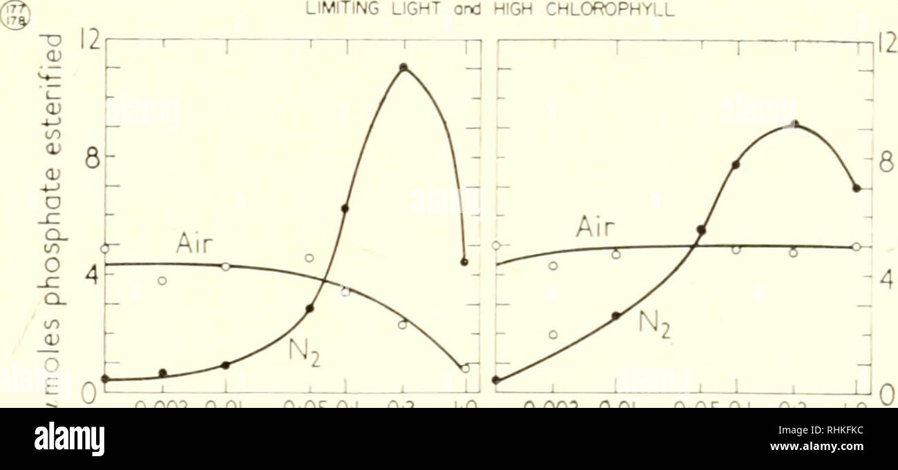 . La structure et la fonction biologique de la procédure. Biochimie ; cytologie. La phosphorylation photosynthétique ET LE PROCESSUS DE CONVERSION DE L'ÉNERGIE 389 Du point de vue de la physiologie cellulaire Il est intéressant de comparer le rôle de l'oxygène dans la formation de l'ATP dans la photosynthèse avec que de la respiration. La participation de l'oxygène comme accepteur terminal d'électrons dans la phosphorylation oxydative a conféré une supériorité marquée sur la respiration au cours de la fermentation, de l'efficacité de la conversion de l'énergie libre de substrat dans l'énergie de l'ATP. Des liens de pyrophosphate A l'efficacité de conversio Banque D'Images