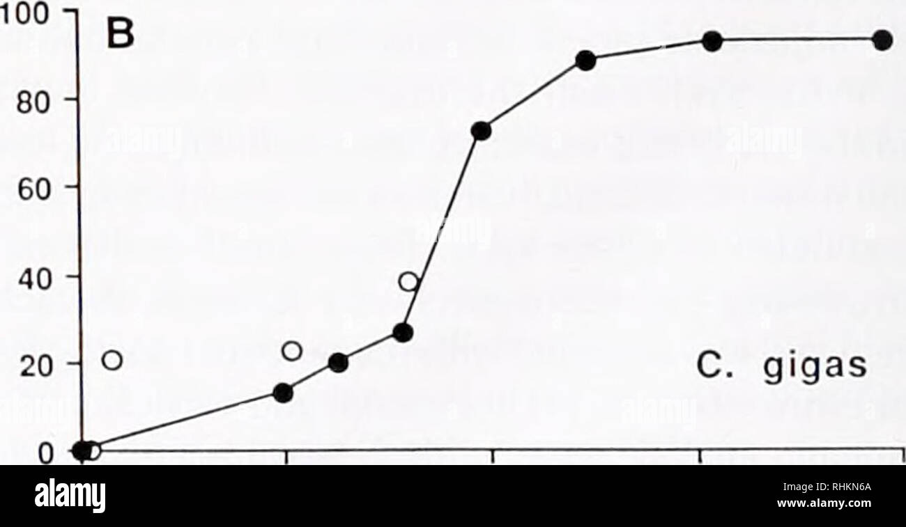 . Le bulletin biologique. Biologie ; zoologie ; biologie ; biologie marine. 1 0 0 200 300 400. 100 200 300 400 les taux d'ammoniac dans une huître Total talon NHrNH4 + en surface (0-20 cm) de l'eau du ruisseau sur un banc d'huîtres sur Sapelo Island en mai 1990, varie avec la hauteur de lide et heure du jour (Fig. 4). NH, Total-NH/ niveaux étaient en corrélation inverse avec la hauteur de marée, pH. et d'oxygène (Fig. 4). Les concentrations les plus élevées de la concentration d'ammoniac Figure 2. Le pourcentage maximum de larves présentant un comportement de règlement en réponse à l'NH4C1 (cercles pleins) ou adultes-l'eau conditionnée (cercles ouverts). (A) Crassos Banque D'Images