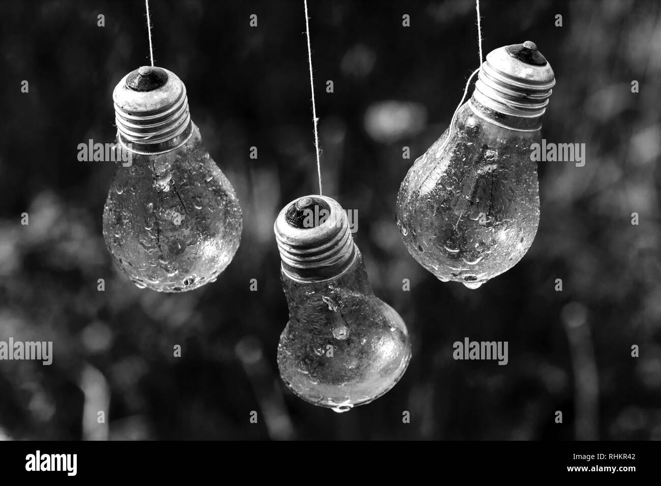 Les ampoules électriques qui pendent dans l'abstraction, la pluie Banque D'Images