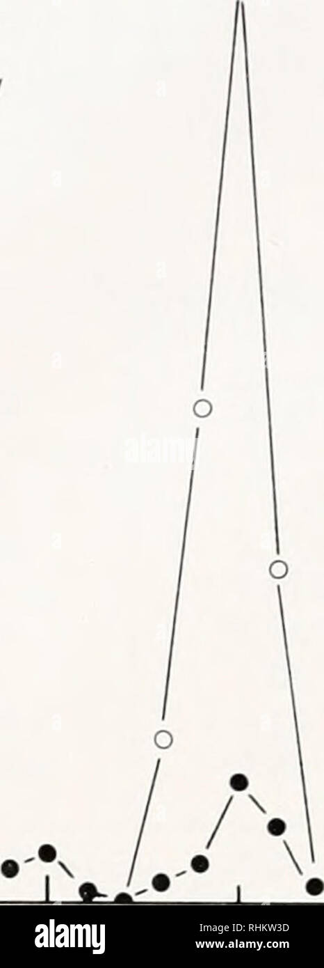 . Le bulletin biologique. Biologie ; zoologie ; biologie ; biologie marine. 272 FRANK M. Fisher. JR. Et Robert O. McALISTER 0,4 mg de protéine 0,2 PH A A 5 - • • - -. protéine o -o  = activité. p-D 7 -A-A- l l V 400 cl 200 mEq J 500 n n fraction DEAE #  FIGURE 5. La purification de la tréhalase sur DEAE cellulose. Détails de l'élution sont présentées dans le texte. l',nenj d'activation de l'énergie d'activation de l'hydrolyse de tréhalose a été déterminée à partir de la partie linéaire (0° à 60°) d'un d'Arrhenius (log K vs 1/T) où la pente est équivalent à -E/2,303R (Fig. 6) et trouvé 9321 cal/mole de du Banque D'Images