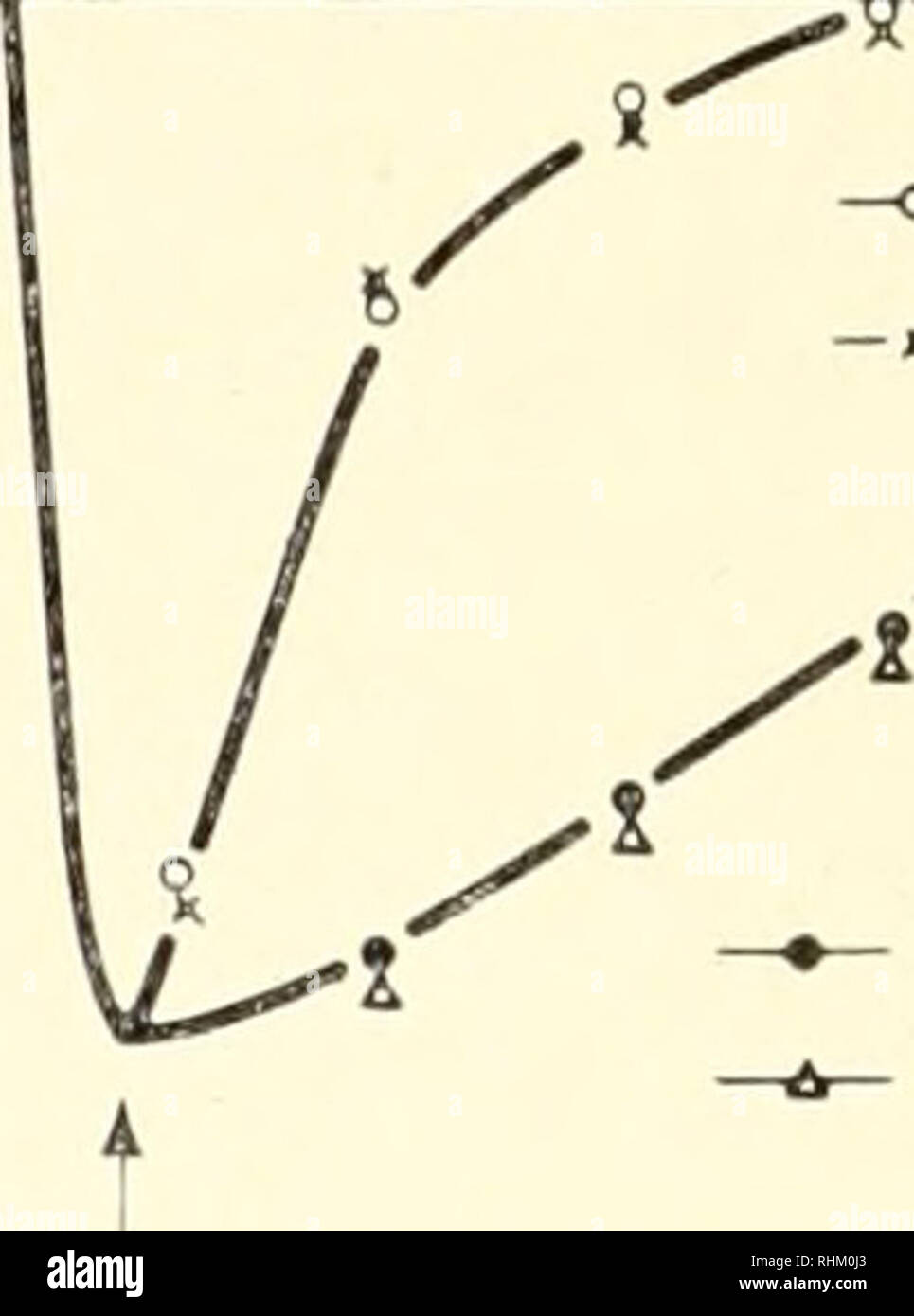 . La structure et la fonction biologique de la procédure. Biochimie ; cytologie. Lumière sur 40 min. o^ ^^ Vit. K5 " -.- VLT. K3 Control DPN voyant éteint éteint Fig. 8. Effet de la vitamine K et d'autres cofacteurs sur la réduction du cytochrome c2 dans des préparations de Chronuitiinn. Les cytochromes sont oxydés par l'éclairage précédent (cf. Fig. 7). Le mélange de réaction inclus dans un volume final de 3 ml -o., suspension de cellules libres dialysée (PS) contenant des o-o6 mg.- bacteriochloro phyll, 0-02 /imole de cytochrome purifiée et à 0-03 /xmole des cofacteurs. Différence de densité optique a été Banque D'Images