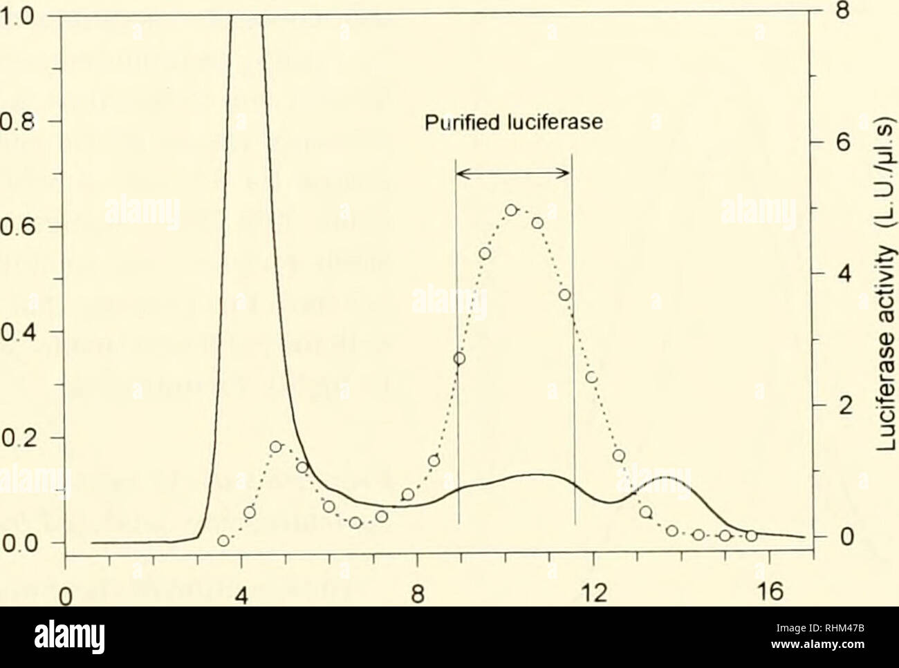 Guanidine Banque D Image Et Photos Alamy