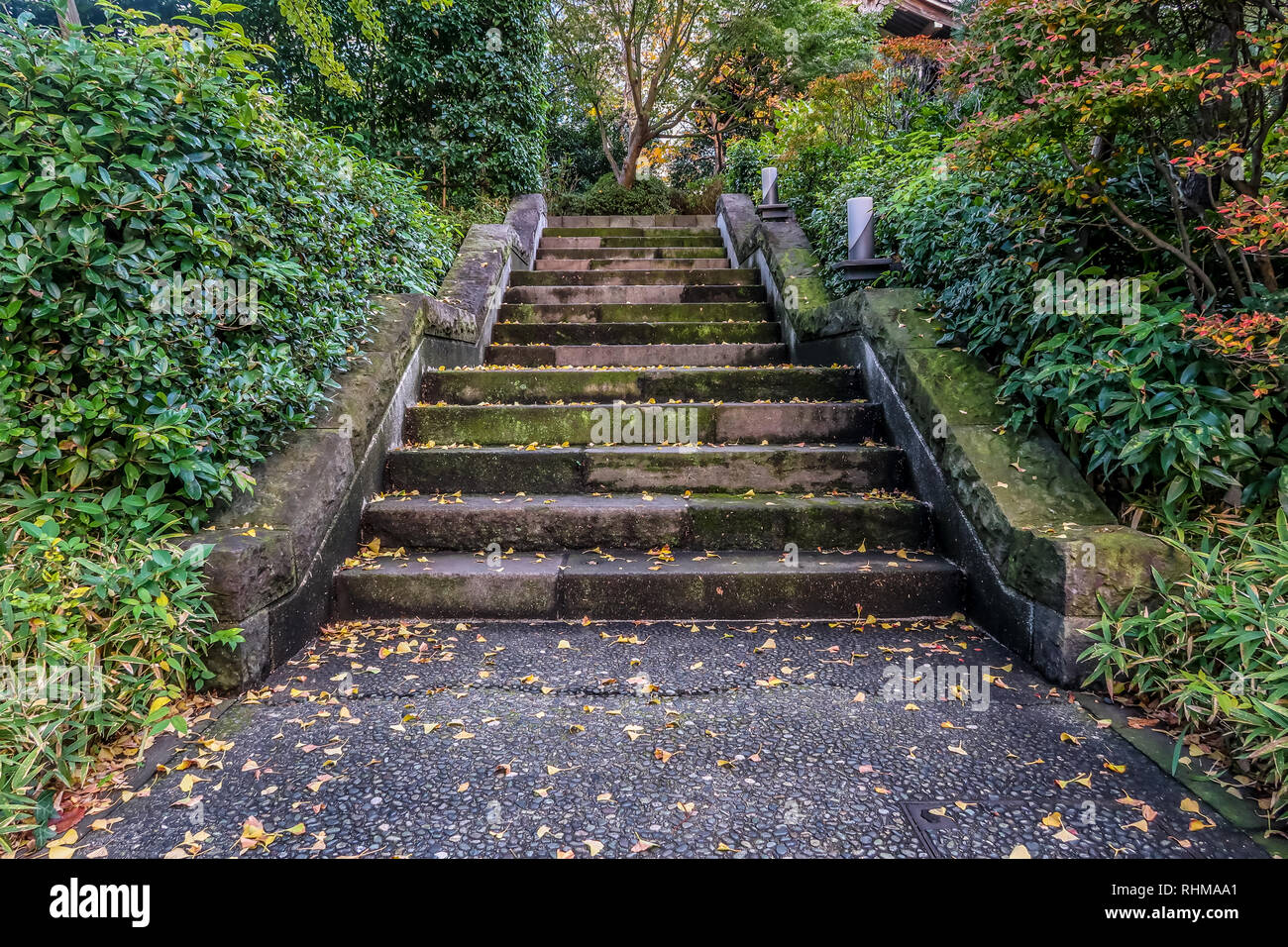 Entrée du temple Banque D'Images