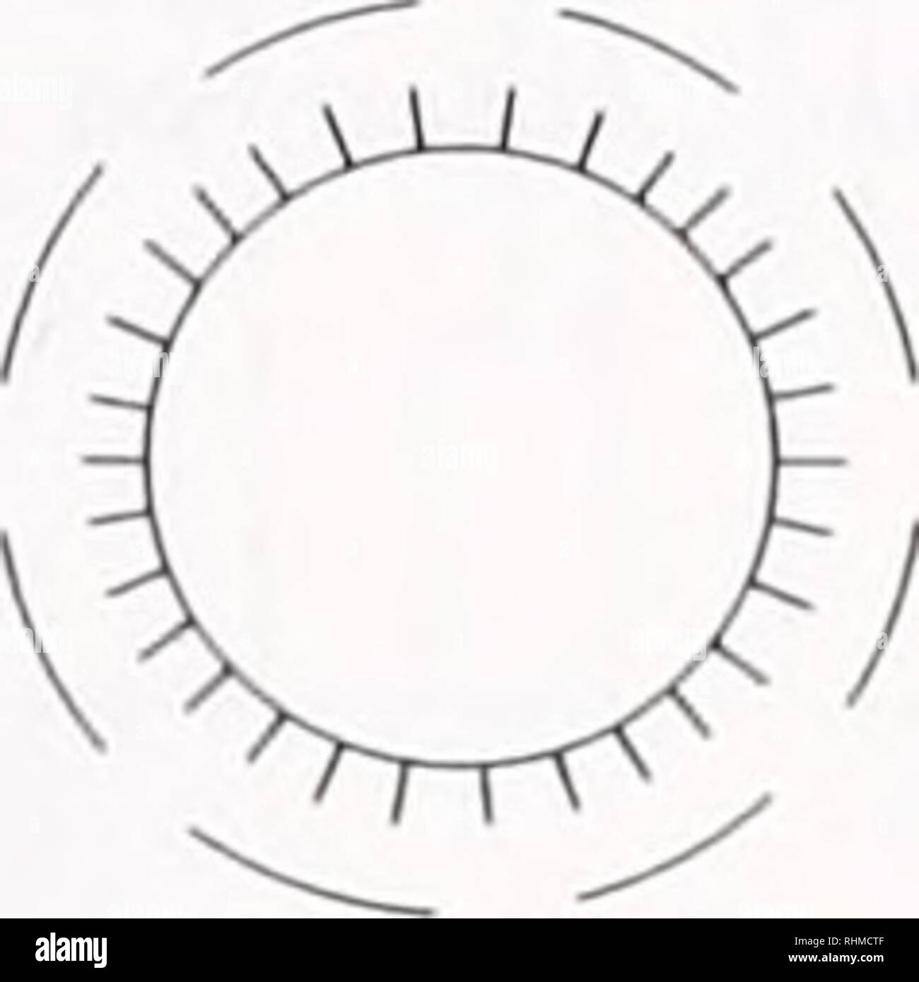 . Le bulletin biologique. Biologie ; zoologie ; biologie ; biologie marine. MHMBRANE IMAGERIE II POTENTIELS A. très contraignant spécifique B. UNE LIAISON NON SPÉCIFIQUE Abs 0.99L(AI/I =10-2) Abs 0,90 I0(AI/J  = 10'2). 0,0001 I0 (Al/l = 10°) I.. Veuillez noter que ces images sont extraites de la page numérisée des images qui peuvent avoir été retouchées numériquement pour plus de lisibilité - coloration et l'aspect de ces illustrations ne peut pas parfaitement ressembler à l'œuvre originale.. Laboratoire de biologie marine de Woods Hole (Massachusetts), ) ; Laboratoire de biologie marine de Woods Hole (Massachusetts), ). Rapport annuel 1907/08-1952 ; Lillie, Frank Rattray, 1870 Banque D'Images