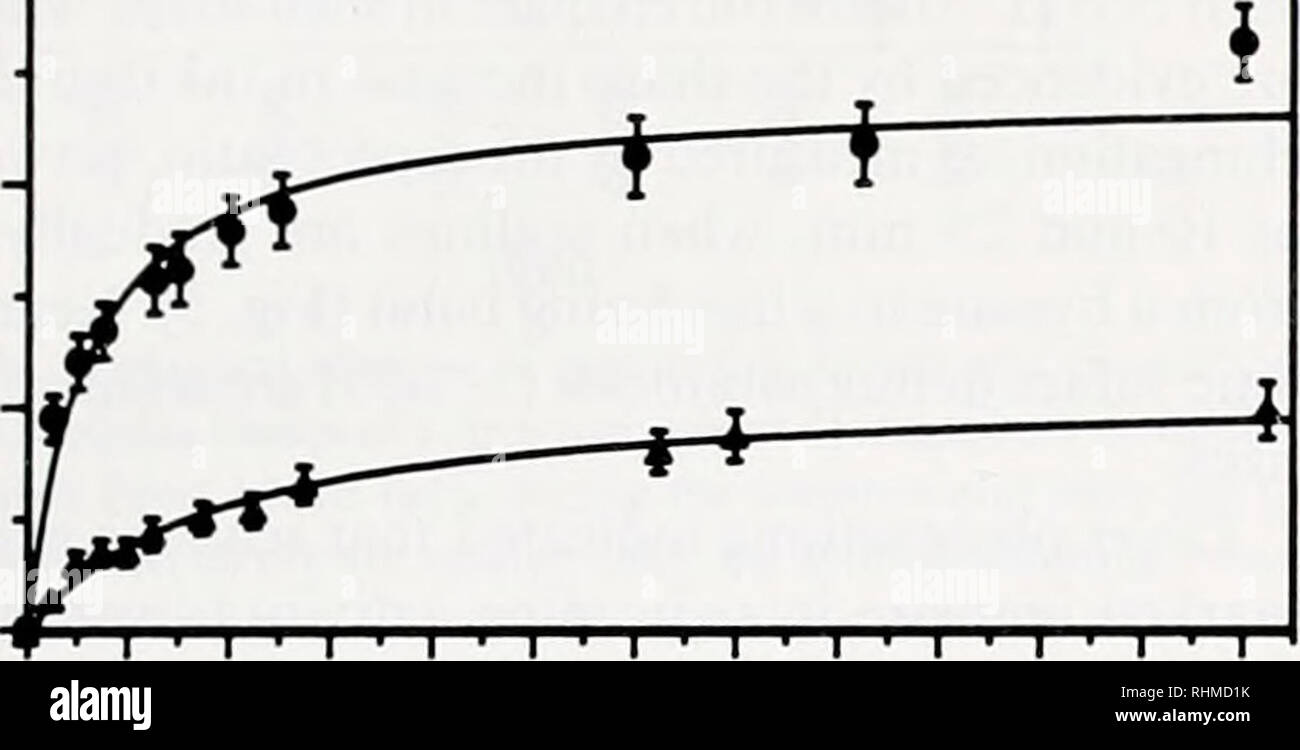 . Le bulletin biologique. Biologie ; zoologie ; biologie ; biologie marine. • H - 7,2 mm (SE  = 0,04) * H - 13,2 mm (SE  = 0,07). 30 - 20 - 10 - 04 8 12 16 20 24 28 32 36 40 44 48 Temps (heures) Figure 2. L'évolution temporelle de la hauteur moyenne au-dessus de fond à maintenu par Argopecien irradians de trois différentes classes de taille de la zostère marine imite en laboratoire (moyenne  = 50 cm de hauteur de lame). Les points de données sont équipés d'une fonction hyperbolique rectangulaire (y - aX/b  + X). Les barres verticales représentent les intervalles de confiance à 95  %. 46-48 h (7,2- et 5,7-mm les pétoncles, respectivement), mais pas avant (P &Lt ; 0,01, jeux et comment Banque D'Images