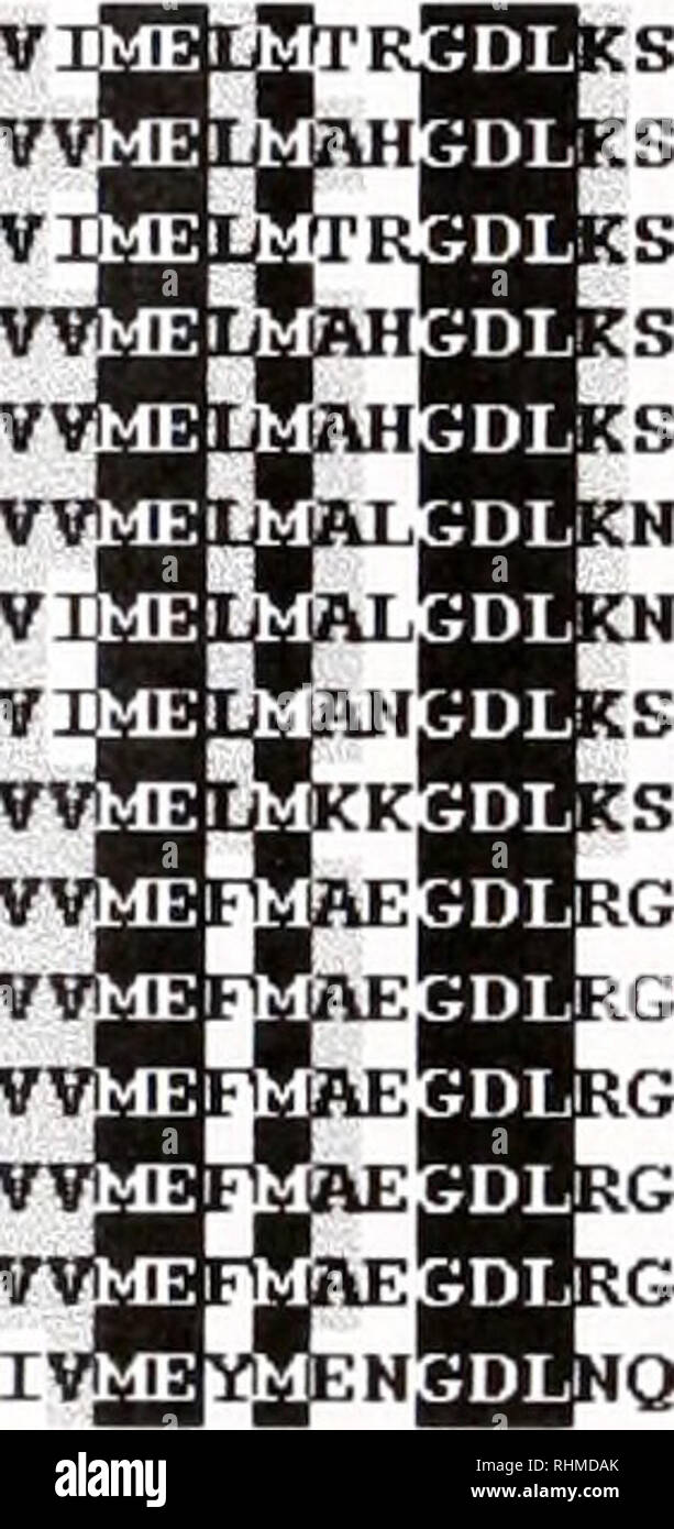 . Le bulletin biologique. Biologie ; zoologie ; biologie ; biologie marine. 202 A. ET AL DE SKOROKHOD. [ I I I I I ] IGlR humaine   IGF L'NIRS NIRS RAT RAT   ILPR NIRS SOURIS NIRS BRALA  NIRS APLA AEDAE INR INR  DROME SR1 SR2 INR INR SR3  INR INR AV DD ITMSRELGQGS RTK GC. ITLLRELGQGSi ITMNRELGQGS ITLLRELGQGS ITLLRELGQGS ITLIRELGQGSj IKLIKELGQGSj IIQLEELGQGSI IIQLAPLGQGSi LTMIREVGEGAl LTMIREVGEGAI IREVKQIGVGQI LTMVKEVGEGA1 /H - LAEMTGLS VAKGVVKD ; I -1 -NARDIIKG VAKGVVKD NAKDIIKG ----- NAKDIIKG EAKDVVKD EAETR- -EPETR EVETRVF -1 -EAETRVSVil EPMVS --VAKGIRDD PNEEIP» -ILTQLRGE KCNQPC ILKSFPPN GVDREcl - -VLATIEDG- Banque D'Images