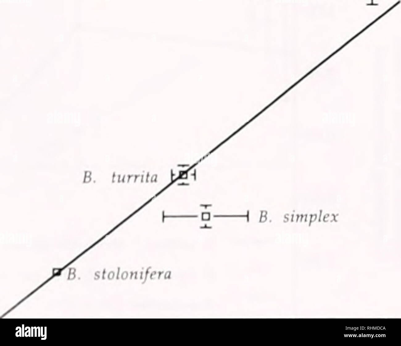 . Le bulletin biologique. Biologie ; zoologie ; biologie ; biologie marine. •  = 79.948x  +151.372 r2  = 0,87 0.0 -i- 0,2 0,4 0,6 0,8 1,0 1,2 i - 1500-n 1000- 500- y  = 1.10E +5X-95.085 : r  = 0,92 B. turrilii stolonifera B. neritina 1-aH. B. simplex ^   Ji est " "O N P 1E +05 8E +04--:UN KM 21-* 1)4- O.Oe +00 2.5E-03 5.0E-03 Bremshey Orbit Pacer 16''-03 l.OE-02 |i| .1)0. Veuillez noter que ces images sont extraites de la page numérisée des images qui peuvent avoir été retouchées numériquement pour plus de lisibilité - coloration et l'aspect de ces illustrations ne peut pas parfaitement ressembler à l'œuvre originale.. Laboratoire de Biologie Marine (Woods H Banque D'Images