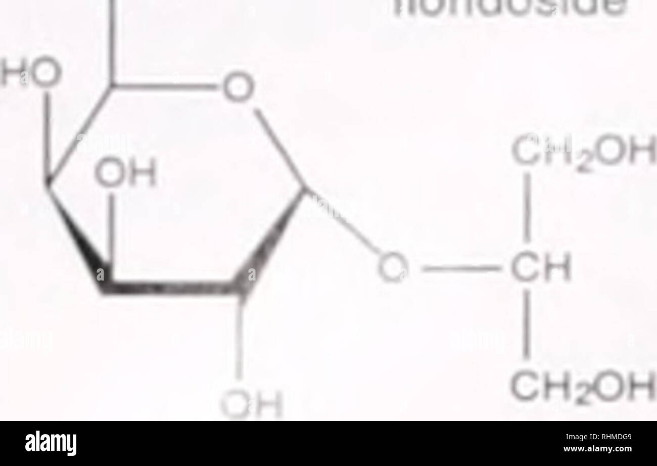 . Le bulletin biologique. Biologie ; zoologie ; biologie ; biologie marine. 338 J. E. ll I I isi &gt ; / / U lkjndos CHjOH lloridoside.de. J'CHjOH SOjM isethionic OH ,acide [1] Figure 3. Structures de l'aud iscihmnic tlnruluMde et complexe et d'floridoside (2). dans le quartier animé de spectres |l| : cependant, il n'y a aucune corrélation entre les signaux tor les deux composés. En outre, tlorulosidc et isethionic acid ont été séparément dans (I ] dans &lt ;/MeOH 4, et le mélange a été/analv ed par C avant et après la fortification. Plus d tloridoside et acide isethionic Banque D'Images