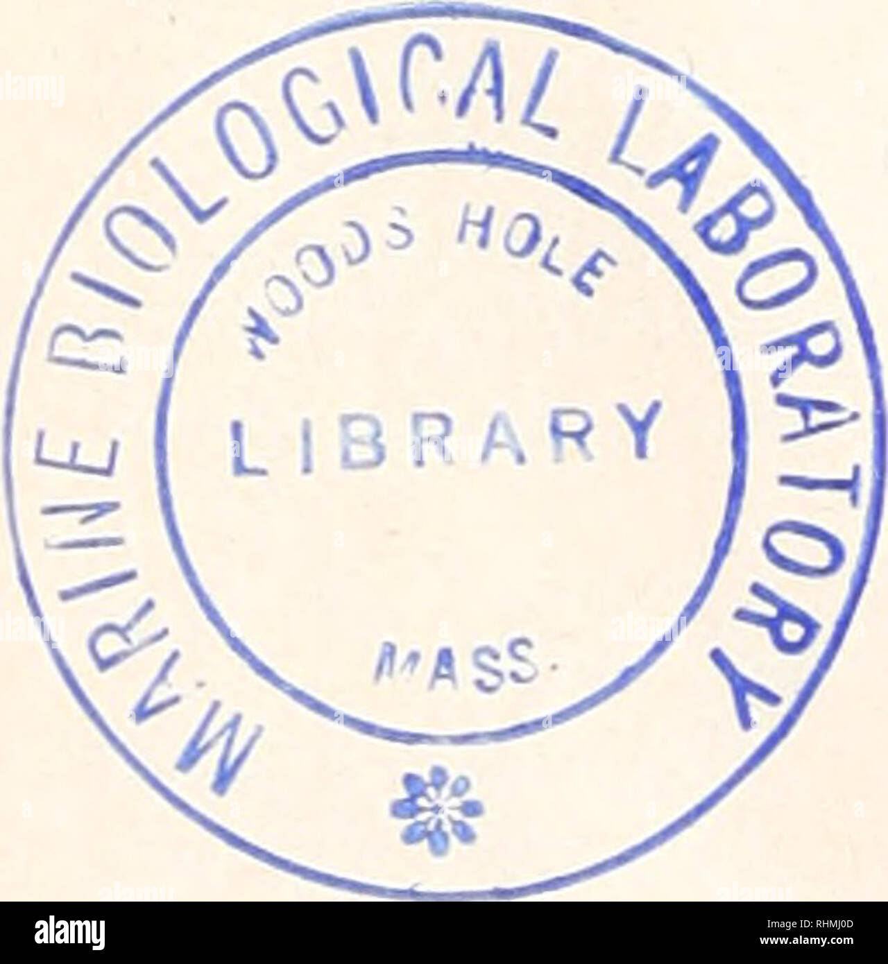 . Le bulletin biologique. Biologie ; zoologie ; biologie ; biologie marine. 524 William B. STICKLE Giese, A. C., 1959. La physiologie comparée : cycle annuel de reproduction des invertébrés marins. Annu. Physiol Rev... 21 : 547-576. GIESE, A. C., 1969. Une nouvelle approche de la composition biochimique du corps de mollusques. Occanogr. Mar. Biol. Annu. Rev., 7 : 175-229. HOUSTON, R. S., 1971. Biologie de la reproduction de Thaïs emarginata (Deshays, 1839) et les Thaïlandais canaliculata (Duclos, 1832). 13 : 348-357, véligère. KYMAN, L., 1967. Le 6, les invertébrés Mollusca I. McGraw-Hill, New York, 792 p. Kincaid, T.. 1957 Banque D'Images . Le bulletin biologique. Biologie ; zoologie ; biologie ; biologie marine. 524 William B. STICKLE Giese, A. C., 1959. La physiologie comparée : cycle annuel de reproduction des invertébrés marins. Annu. Physiol Rev... 21 : 547-576. GIESE, A. C., 1969. Une nouvelle approche de la composition biochimique du corps de mollusques. Occanogr. Mar. Biol. Annu. Rev., 7 : 175-229. HOUSTON, R. S., 1971. Biologie de la reproduction de Thaïs emarginata (Deshays, 1839) et les Thaïlandais canaliculata (Duclos, 1832). 13 : 348-357, véligère. KYMAN, L., 1967. Le 6, les invertébrés Mollusca I. McGraw-Hill, New York, 792 p. Kincaid, T.. 1957 Banque D'Images