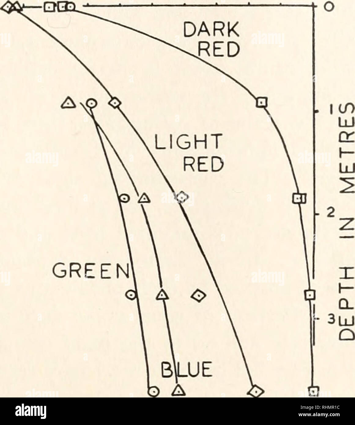 . Le bulletin biologique. Biologie ; zoologie ; biologie ; biologie marine. L'ÉCOLOGIE DE LA FORÊT LITTORALE LAMINAIRES 331 suniably la plupart de ce qui atteint les profondeurs de la forêt passe entre les frondes. Par conséquent, les résultats obtenus avec l'Opal seul pb- habilement représentent environ la fraction de lumière de toute longueur d'onde qui pénètre dans la forêt, par rapport à l'allumage à cette longueur d'onde dans la même profondeur d'eau libre. Il est donc possible d'estimer approximativement la profondeur en eau libre au cours de laquelle l'éclairage monochro- matic à diverses fréquences est équivalent t Banque D'Images