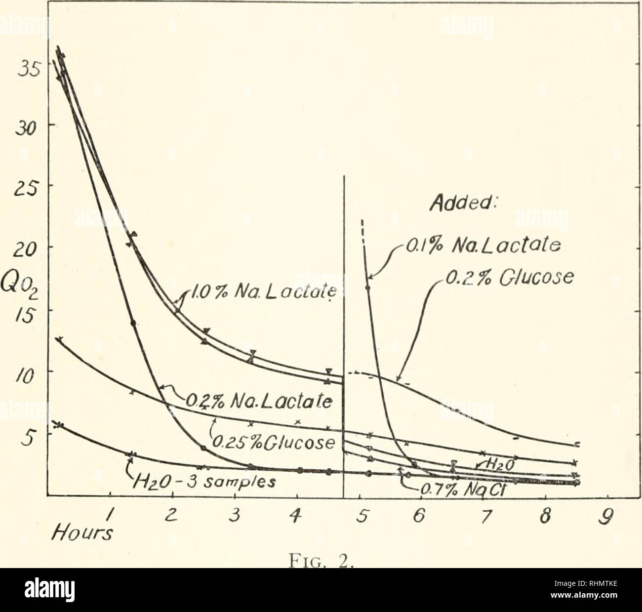 . Le bulletin biologique. Biologie ; zoologie ; biologie ; biologie marine. Ml' r. !',K SAKi IXA [.I I I UN 23117 à plus de 50, la variation est faible dans l'un et non liés à la concentration de lactate ajouté (Fig. 2). (Dans une expérience d'une augmentation régulière de la concentration maximale a été observée avec.) La suite de la consommation d'oxygène supplémentaire, d'autre part ajouté : 0,1 % No.Lactate. Par contre, a été intimement dépendants de cette concentration (Figs. 2 et 3, Tableau III). Ainsi, la moyenne d'une série de douze expériences a donné un QQ., de 2 dans l'eau, et un maximum de 23 après que le lactate de sodium a été astuce Banque D'Images