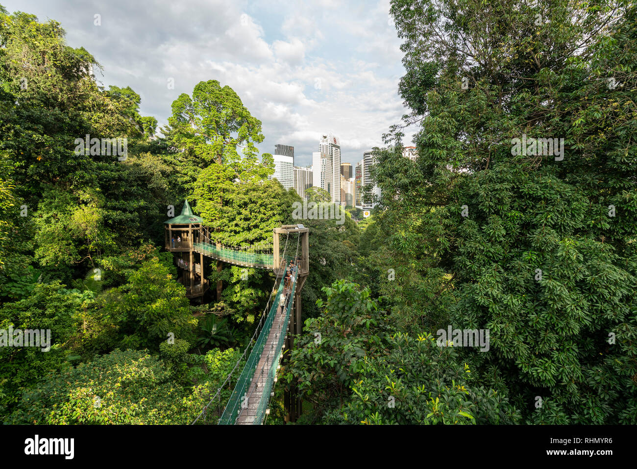 Vue de l'auvent à pied dans la forêt KL Eco Park à Kuala Lumpur, Malaisie Banque D'Images