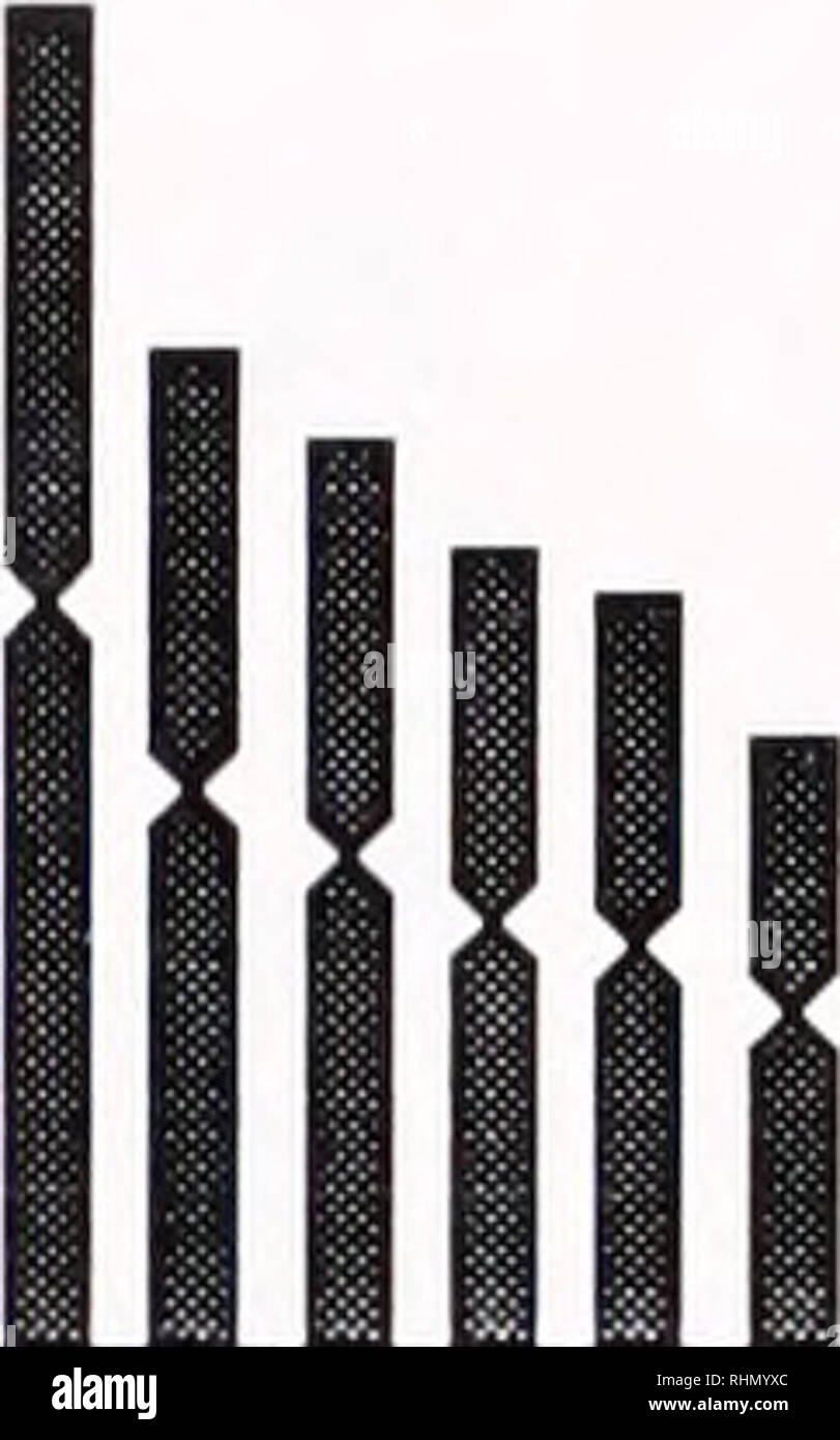 . Le bulletin biologique. Biologie ; zoologie ; biologie ; biologie marine. 226 D. 6 FOIGHIL ET C. THIRIOT-QUIEVREUX longueur relative 6,00 - 5,00 - 4,00 - 3,00 - 2,00 -. 1 2 3 4 5 6 7 8 9 10 11 12 13 14 15 16 17 18 ly 2(1 21 22 23 24 25 26 27 28 29 30 31 32 paires de chromosomes B m D D SM SM-st D st D st-sm [3 t 0 t-st Figure 3. L'idéogramme du nord-est du Pacifique chromosomes Lasaea construit à partir de la longueur relative et les valeurs de l'indice centromérique. Les longueurs sont dans ^m. m, sm ; métacentrique, submétacentriques ; sm-st, submétacentriques subtélocentrique- ; st, st-sm ; subtélocentrique subtélocentrique,-submétacentriques ; t, telocentr Banque D'Images