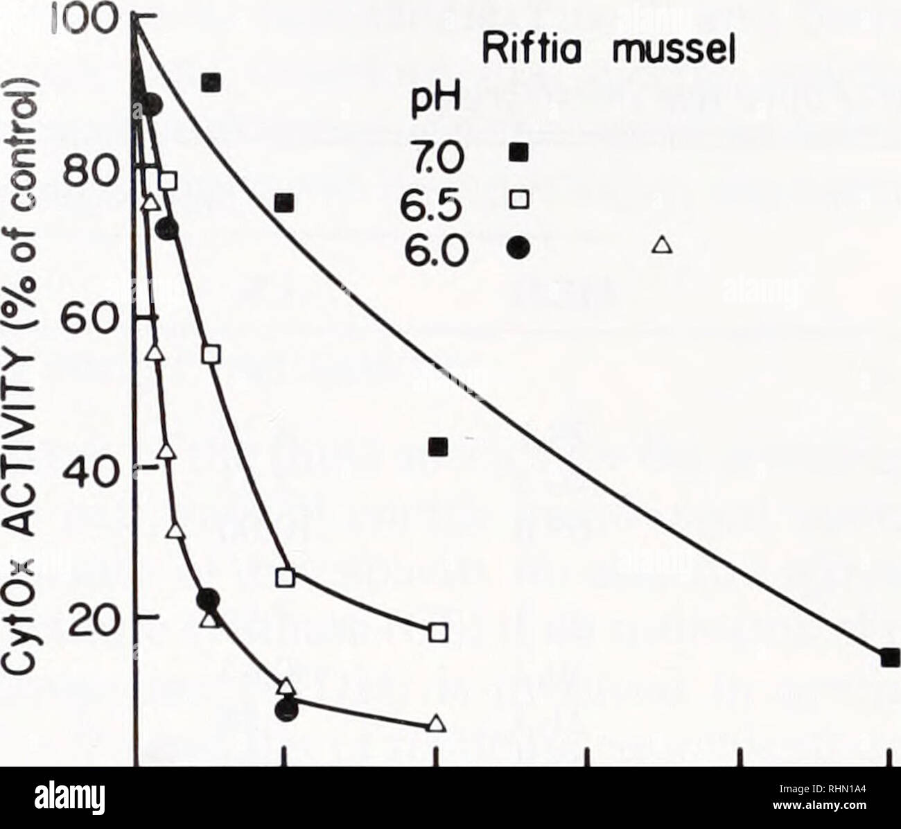 . Le bulletin biologique. Biologie ; zoologie ; biologie ; biologie marine. 282 M. A. Powell et G. N. ING Groep NV Riftia zébrée. 10 20 30 40 50 sulfure (pM) FIGURE 2. L'inhibition de l'activité de la CytOx panache Riftia et tissus du manteau par sulnde Bathymodiolus. Le pH du tampon d'essai a été modifié comme indiqué. Les contrôles ont été les activités de l'enzyme les préparatifs sans ajout d'sulnde. Pour la CytOx Riftia, deux fois un précipité à l'acide a été utilisé de préparation (Powell et ING Groep NV, 1983). Pour Bathymodiolus un homogénat brut a été utilisé. 4). Lorsqu'un échantillon d'inhibée en sulfure a été incubé pendant la CytOx quantité croissante Banque D'Images