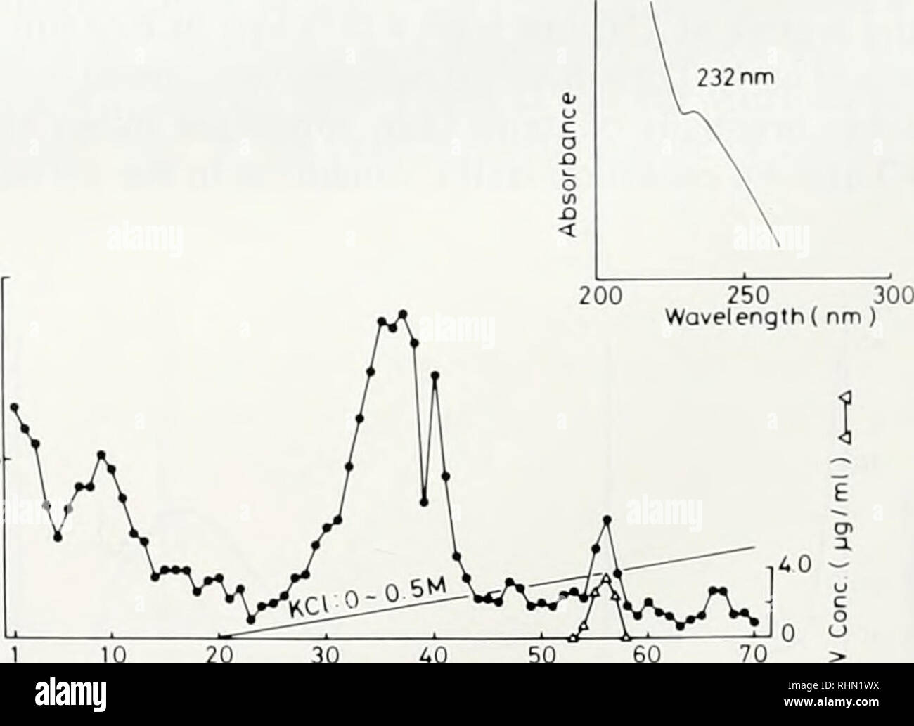 . Le bulletin biologique. Biologie ; zoologie ; biologie ; biologie marine. 15 20 25 30 Nombre de fractions F'igure 6. Profil d'élution de l'homogénat cellulaire du sang de Ascidia aliixlon sur Sephadex G-15 La chromatographie sur colonne. Boulettes de cellules du sang (49,7 mg) ont été homogénéisés dans 10 mA/ glycine-HCl solution à pH 2,3. L'homogénat (1.2 ml) a été chargé sur une colonne (1,5 cm 0 x 48 cm) et élué avec la même solution tampon dans 3 ml de fractions. Vt et Vo de la colonne sont de 85 ml et 39 ml, respectivement. Ve d'vanadobin est de 63 ml. L'encart montre le spectre UV de la fraction fraction de pics (21). Absolue Banque D'Images