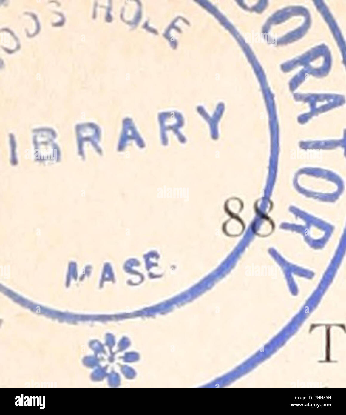 . Le bulletin biologique. Biologie ; zoologie ; biologie ; biologie marine. P. Calow et J. B. JENNINGS les cestodes sont quelque peu atypique, en comparaison avec les autres symbiotes, ento- en ce qu'ils ont relativement élevé et un pouvoir calorifique variable (Tableau I). Ce dernier probablement à partir de la variabilité de la teneur lipidique ; taux de lipides élevés ont été rapportés dans Hymenolepis diminuta par Webb et Mettrick Quarter (1973) mais des niveaux beaucoup plus faibles sont enregistrés pour plusieurs autres cestodes (Smyth, 1966). Dans diimnuta H. proglottis gravides contiennent une proportion plus élevée de lipides que n'ailés immatures et matures (Fairbairn, Banque D'Images