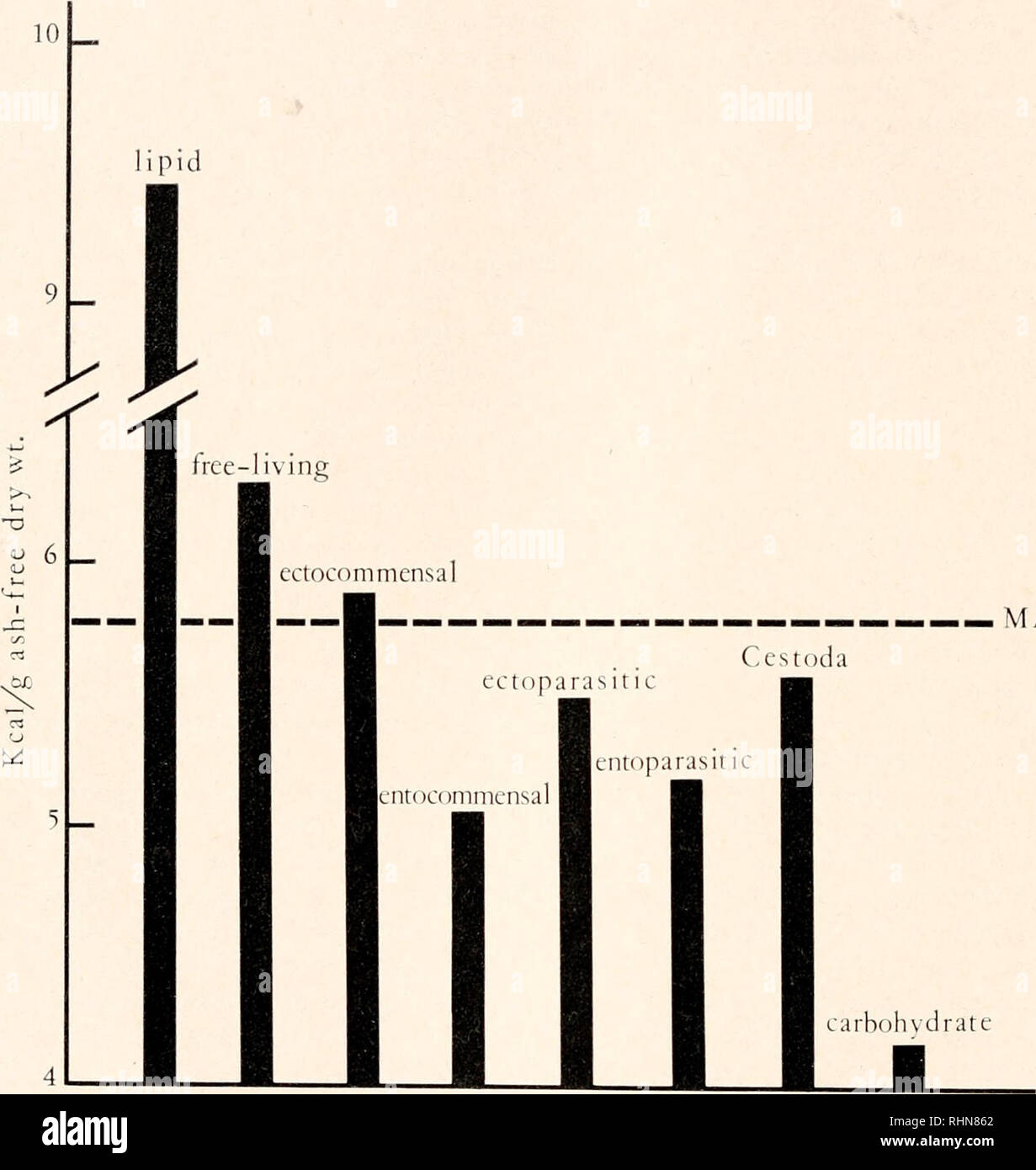 . Le bulletin biologique. Biologie ; zoologie ; biologie ; biologie marine. 86 P. Calow et J. B. JENNINGS. Espèces de cestodes ma vie commune avec la figure 1 styles. Pouvoir calorifique moyen (kcal/g de poids sec) de vers plats avec des styles de vie. Les valeurs pour les lipides, glucides et MA (la valeur moyenne pour l'ensemble des animaux d'autres phyla) sont de Cummins et Wuychek (1971). les valeurs. Cependant, ceci dépend de la teneur en cendres- des produits en cause et devient plus extrême que cendres pourcentage augmente. Les niveaux de cendres au-dessous de 10 % (la plupart des espèces étudiées ici) l'effet devient triviale et co Banque D'Images