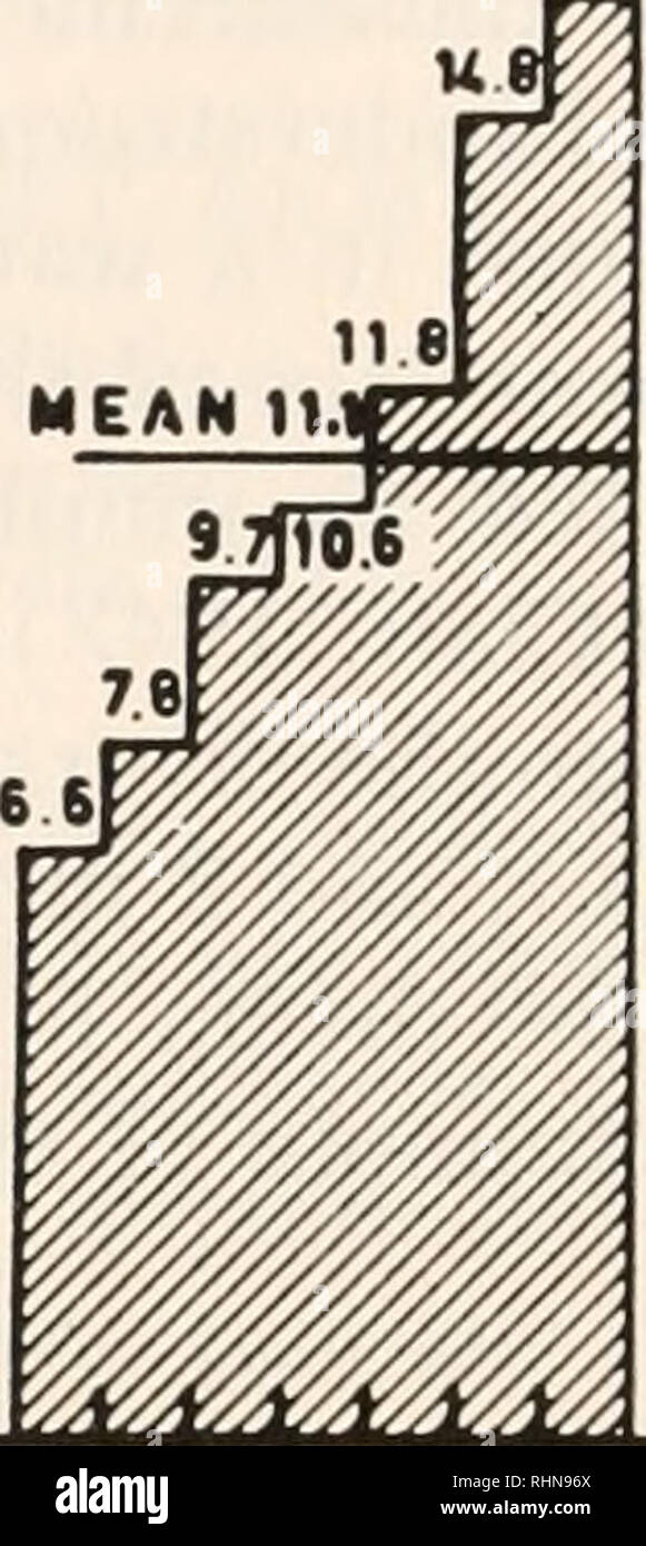 . Le bulletin biologique. Biologie ; zoologie ; biologie ; biologie marine. 18,1 Moyenne 181 rr. ul lt.91*J 16,1 veux dire ! Expf.-* 1517131614 1mm (1) 15151414161716171516 l/imm (2) 1mm(3) FIGURE 2. 15151619131417 3 mm (1) 10 191919 3 mm (2) 6mm 11 ] prend des éléments suivants ont été comparés à celui d'un seul 3 mm. Tige : (1) une seule pièce. de 1 mm, (2) trois pièces. de 1 mm, (3) deux^ 1 mm. pièces, (4) deux-pièces 3 mm. et (4) une 6 mm. pièce (Fig. 1, 2). Le tableau I résume les mesures sur la consommation d'O2 43 tiges de différentes longueurs à partir de 1 mm. à 6 mm. et mesurés individuellement (colonnes 1, 4, 6), deux à la table Banque D'Images