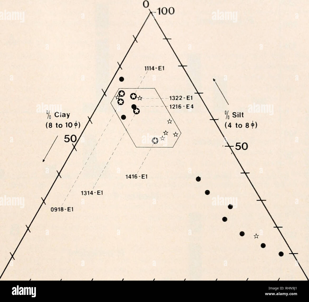 . Le bulletin biologique. Biologie ; zoologie ; biologie ; biologie marine. La baie de Cape Cod TrRIFICTDAE 215 100 100. / 0 10 20 30 60 40 50 °/0 Sable (-1 à 4 70 80 90 100 FIGURE 5. Pcloscolcx intcrnicdius de distribution et Limnodriloides mcdioporus en rela- tion à l'ensemble de la composition des sédiments mesurée en pourcentages de sable, de limon et d'argile. La sym- bols utilisés pour l'identification des espèces sont les mêmes que dans la Figure 4. tolérance de P. intermedius, ou un autre facteur, est le une dans la distribution de l'espèce et dans mcdioporus L. les sédiments plus gros. (2) sable grossier dans la communauté co Banque D'Images