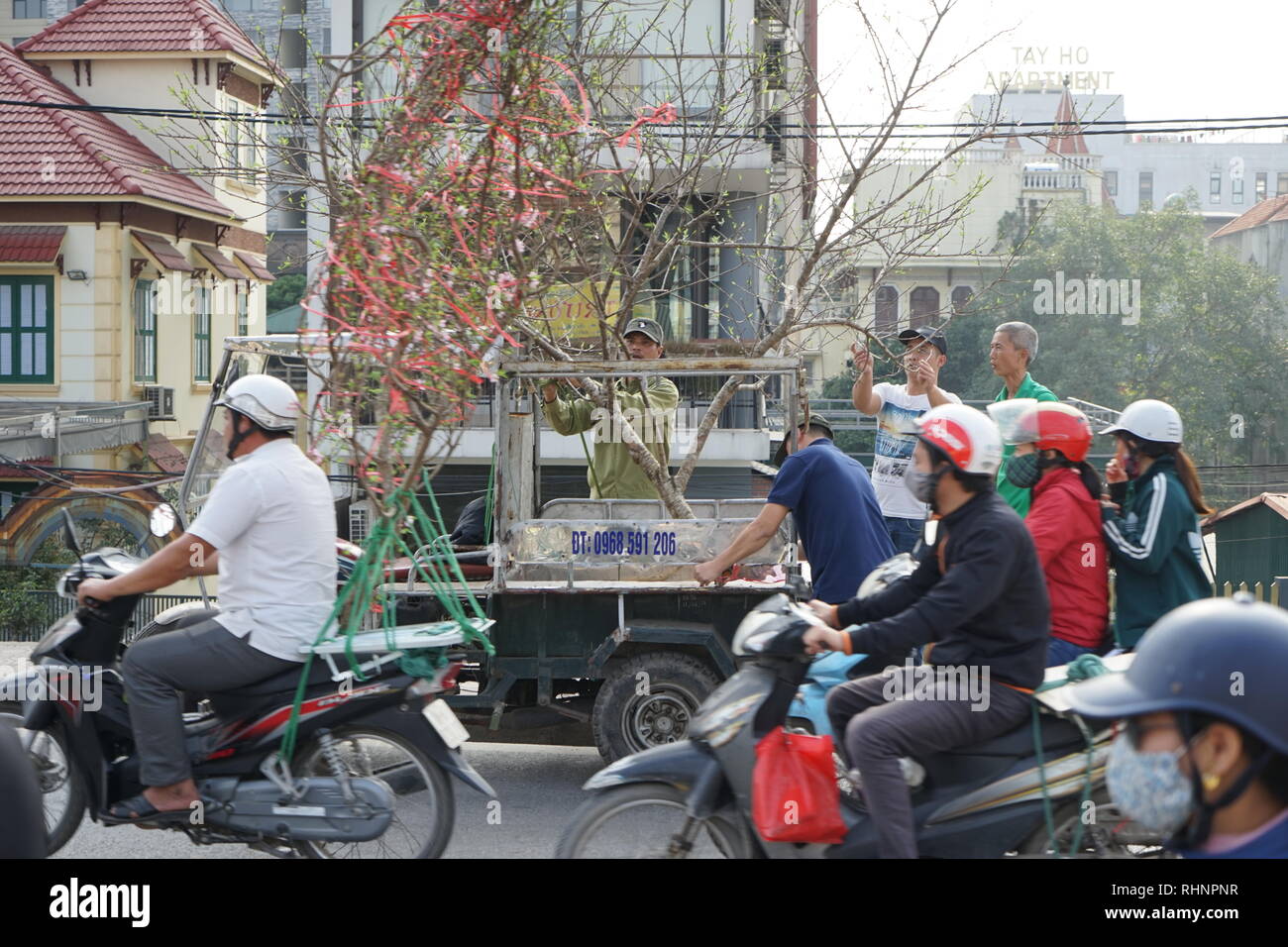 Hanoi, Vietnam. 28 janvier, 2019. Différentes plantes sont acheminés aux clients en dehors du marché aux fleurs de Hanoï. Il est supposé que les fleurs se porter chance dans la nouvelle année. (Dpa ' Goldfish pour Jade empereurs : rites religieux sont durables au Vietnam' à partir de 04.02.2019) Crédit : Bennett Murray/dpa/Alamy Live News Banque D'Images