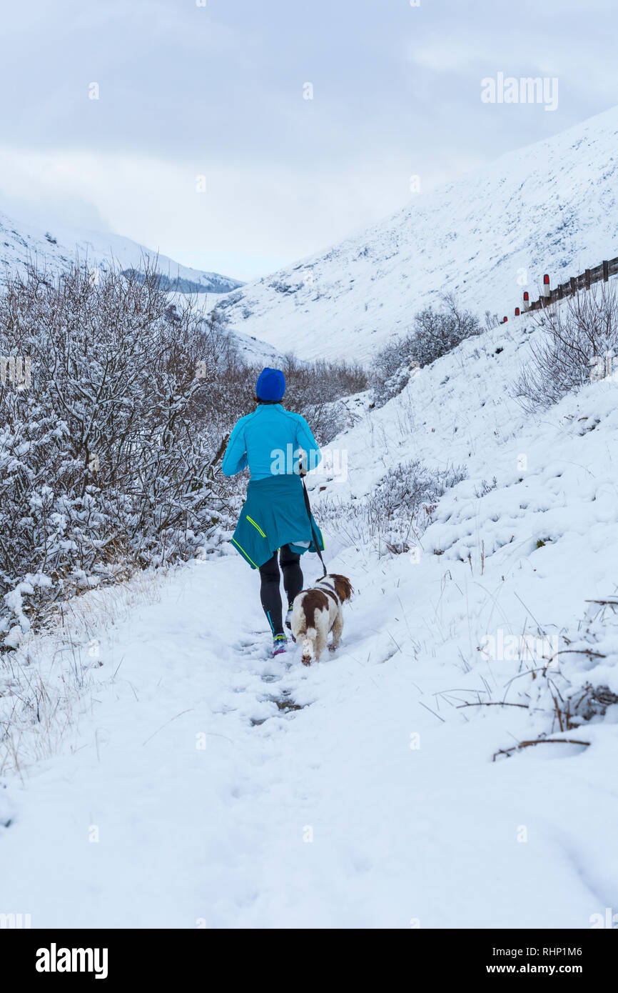 Femme le long chemin couvert de neige avec chien à Glencoe, Highlands, Scotland en hiver - arrière vue arrière Banque D'Images