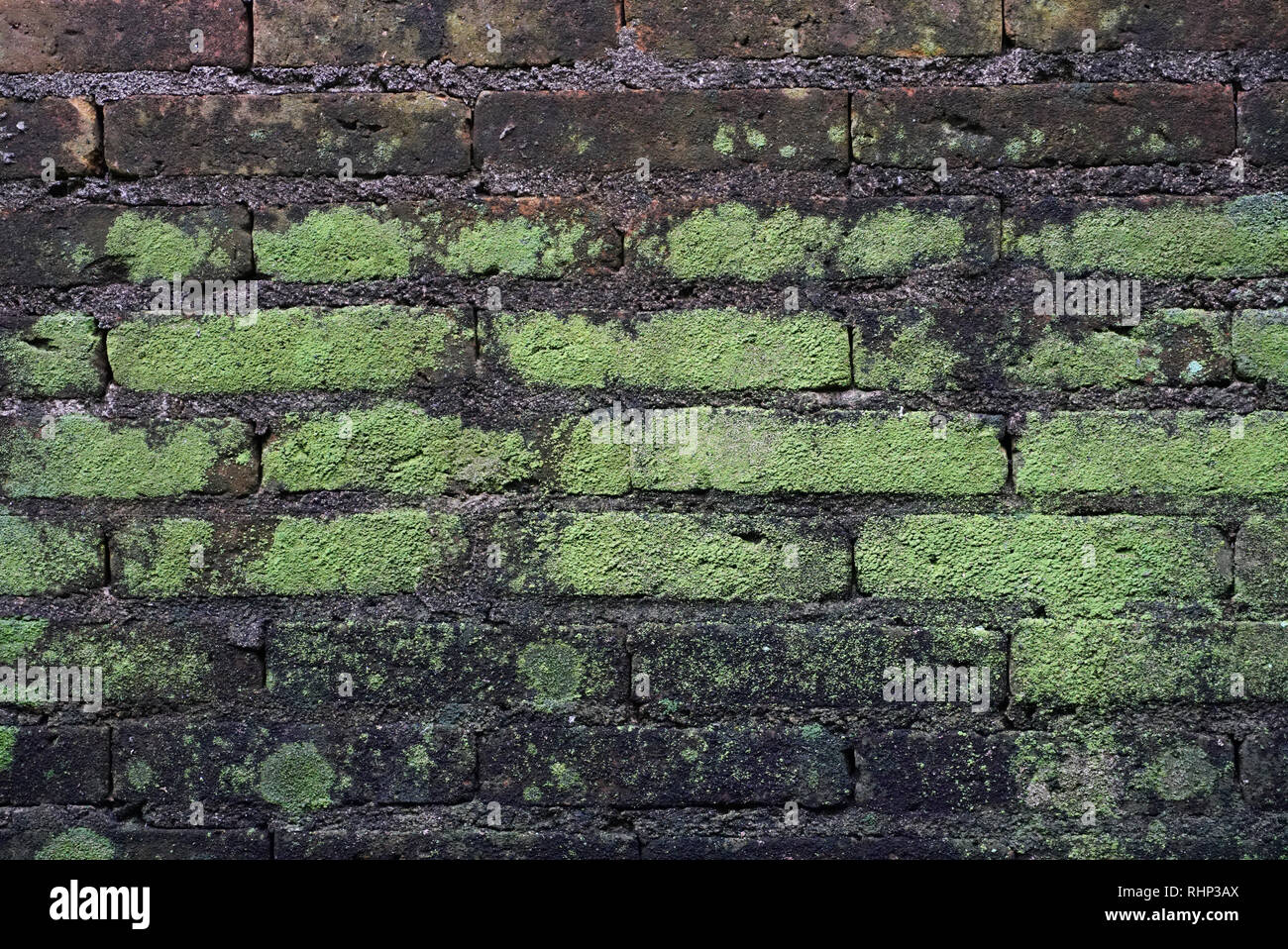 Les murs en briques anciennes avec texture lichen Banque D'Images