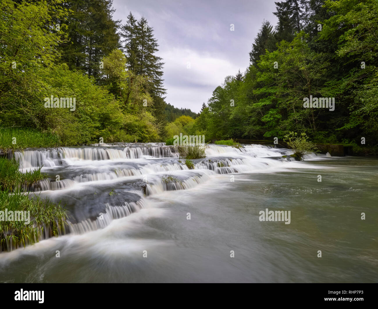 Chutes de Siuslaw, rivière Siuslaw, montagnes de la chaîne côtière, de l'Oregon. Banque D'Images