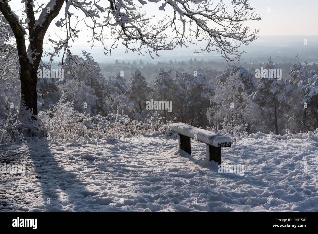 Jolie scène de neige, arbre et banc avec vue lointaine Banque D'Images
