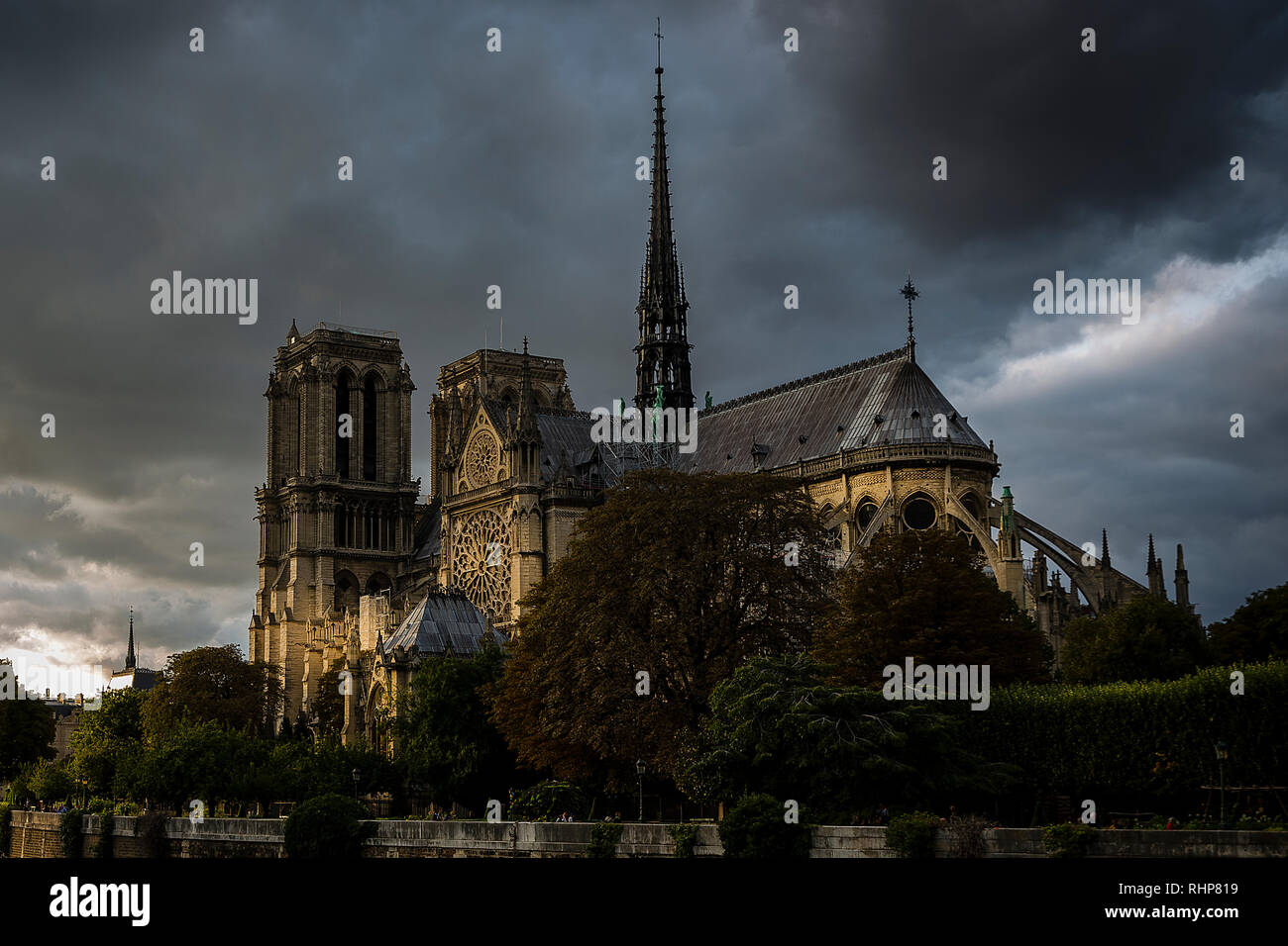 L'été à la cathédrale Notre-Dame de Paris, France Banque D'Images