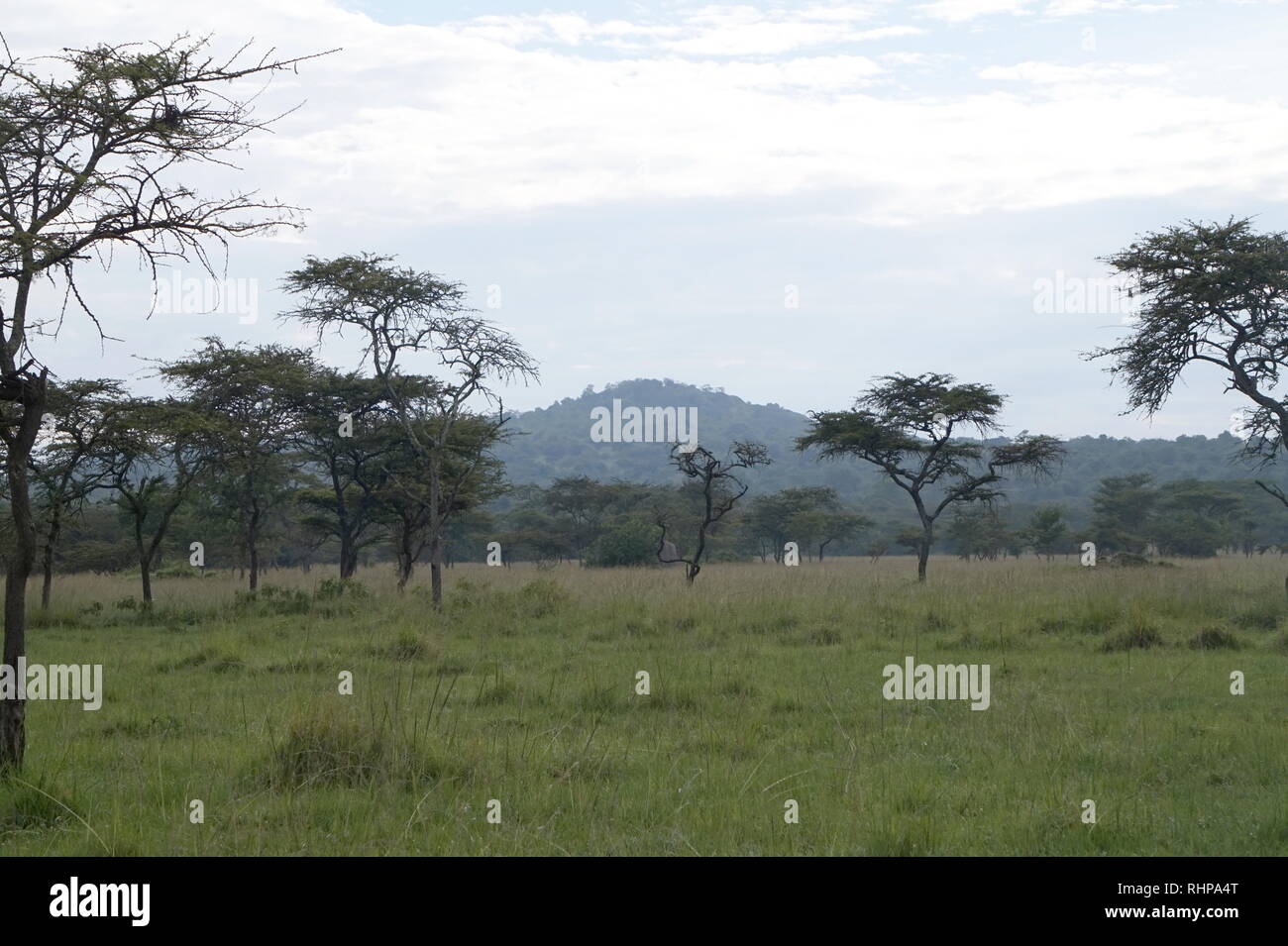 Parc national du lac Mburo, Ouganda Banque D'Images