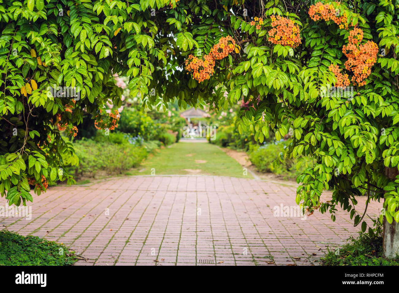 Arc de fleurs à l'entrée du parc Banque D'Images