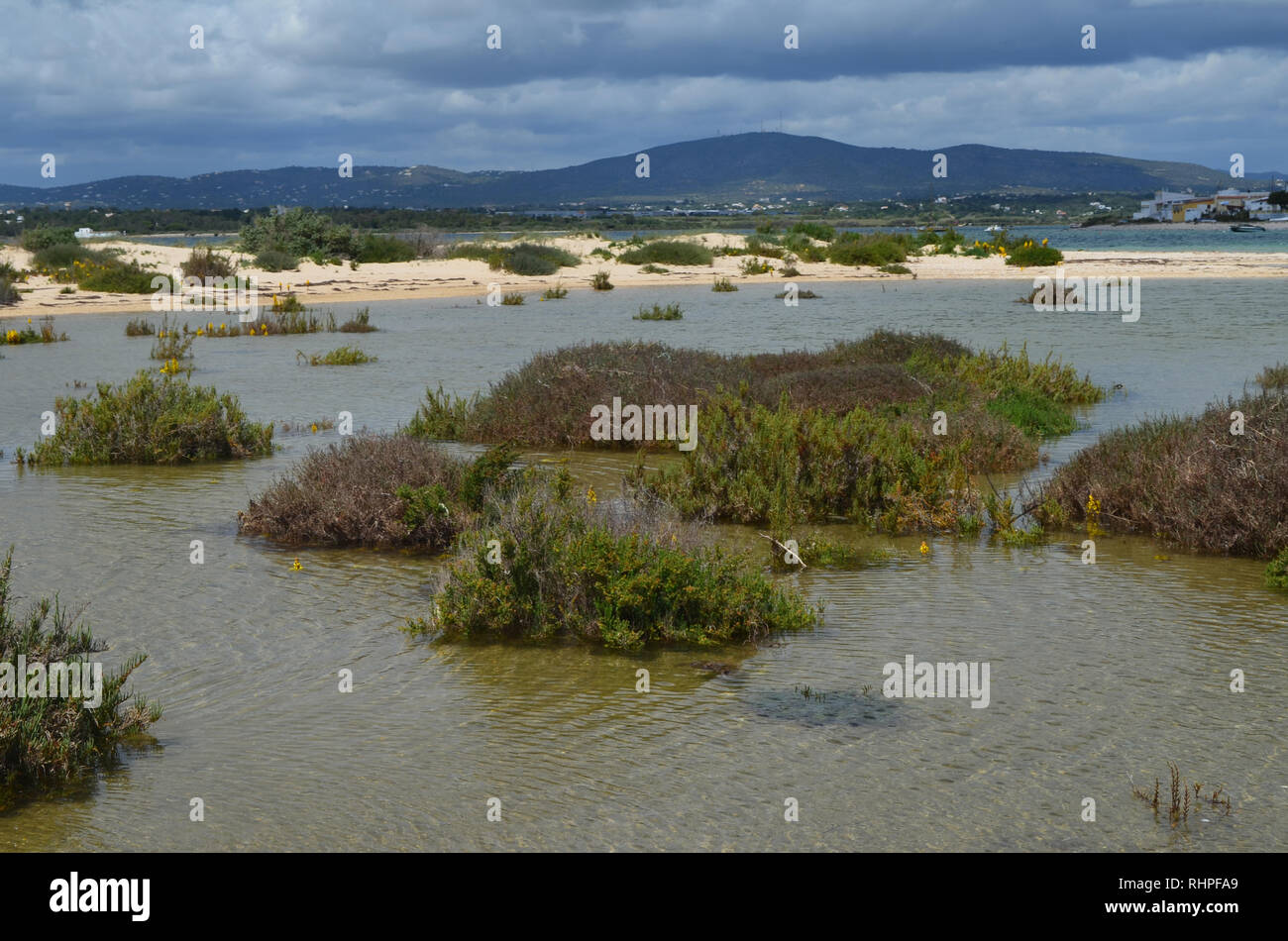 Les marais salés dans l'île de Armona, partie du Parc Naturel de la Ria Formosa dans la région du sud-ouest de l'Algarve Portugal Banque D'Images