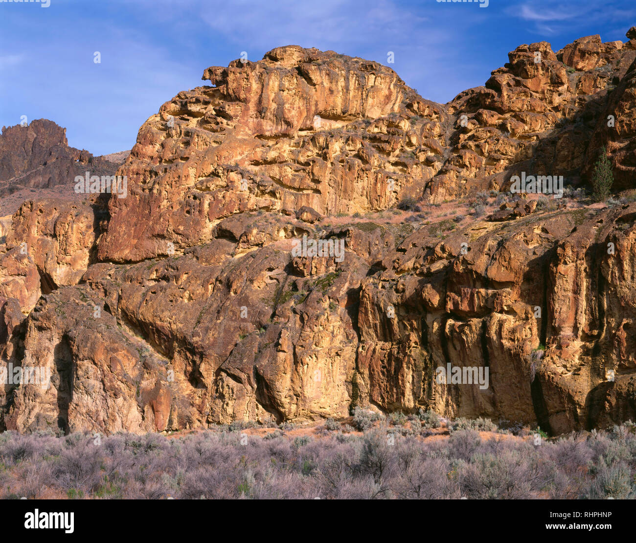 USA (Oregon), Leslie Gulch, formations rocheuses imposantes avec d'abeilles sont formés à partir de cendres volcaniques comprimé appelé Leslie Gulch Tuff. Banque D'Images