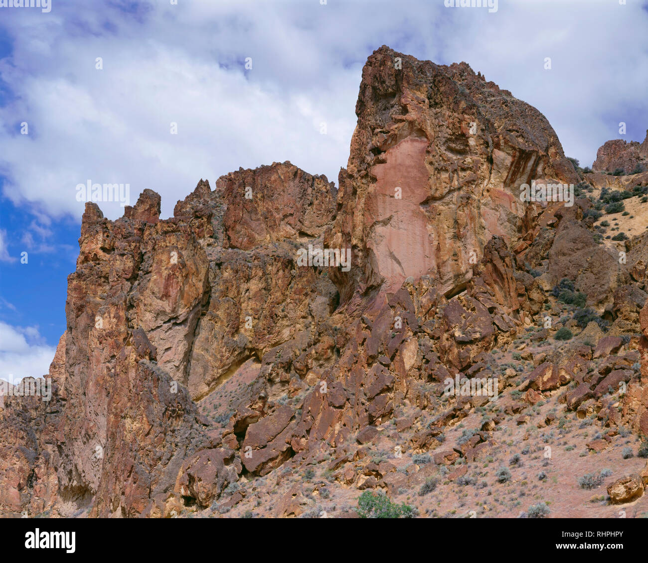 USA (Oregon), Leslie Gulch, formations rocheuses imposantes avec d'abeilles sont formés à partir de cendres volcaniques comprimé appelé Leslie Gulch Tuff. Banque D'Images