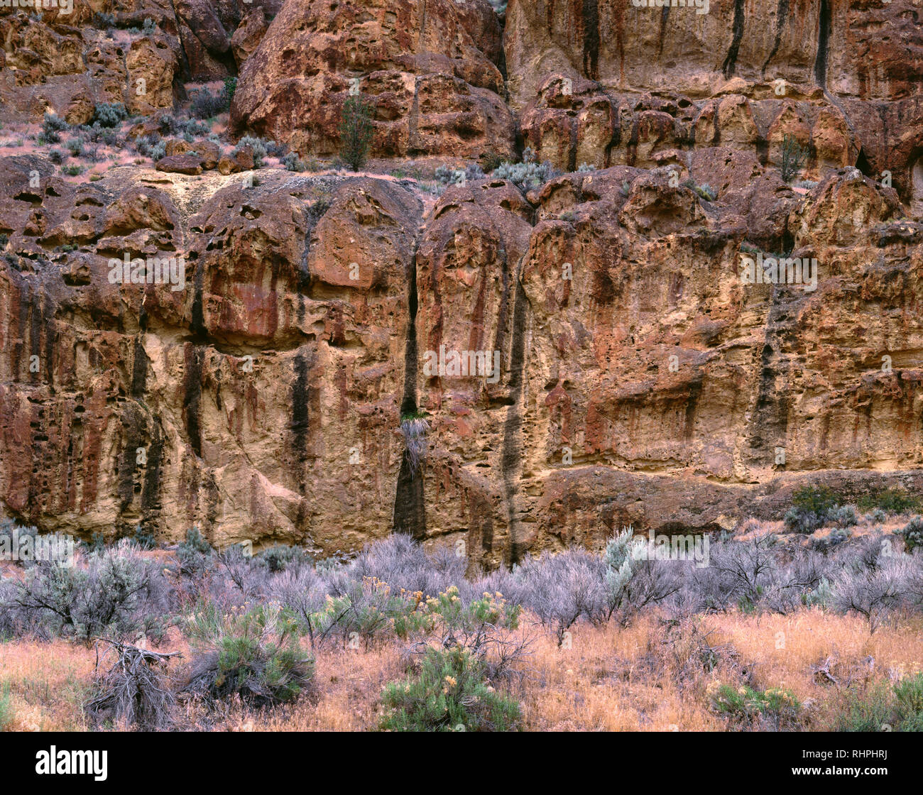 USA (Oregon), Leslie Gulch, formations rocheuses avec d'abeilles formé à partir de cendres volcaniques comprimé appelé Leslie Gulch Tuff. Banque D'Images