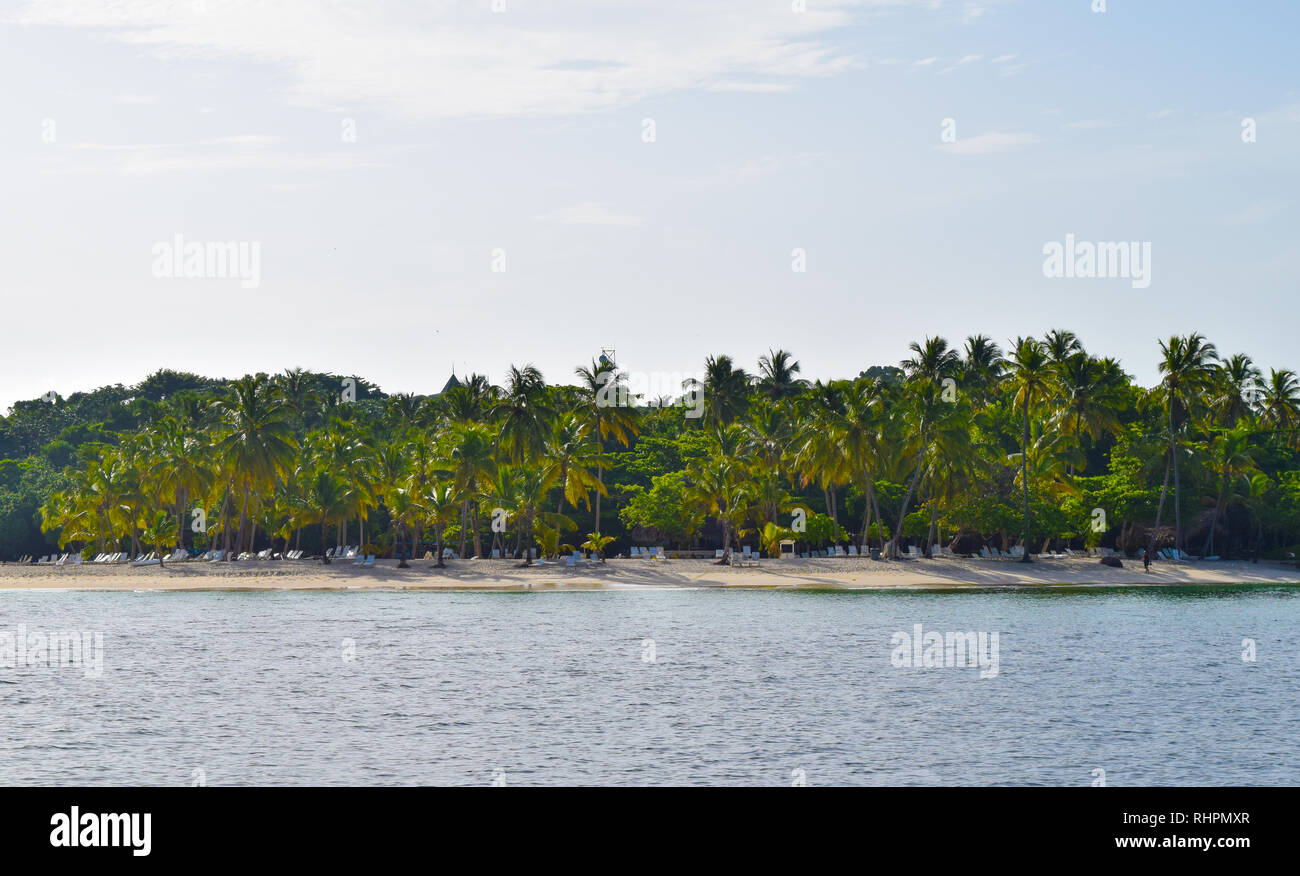 Plage tropicale avec sable blanc et beaucoup de palmiers, Cayo Levantado plage privée Banque D'Images