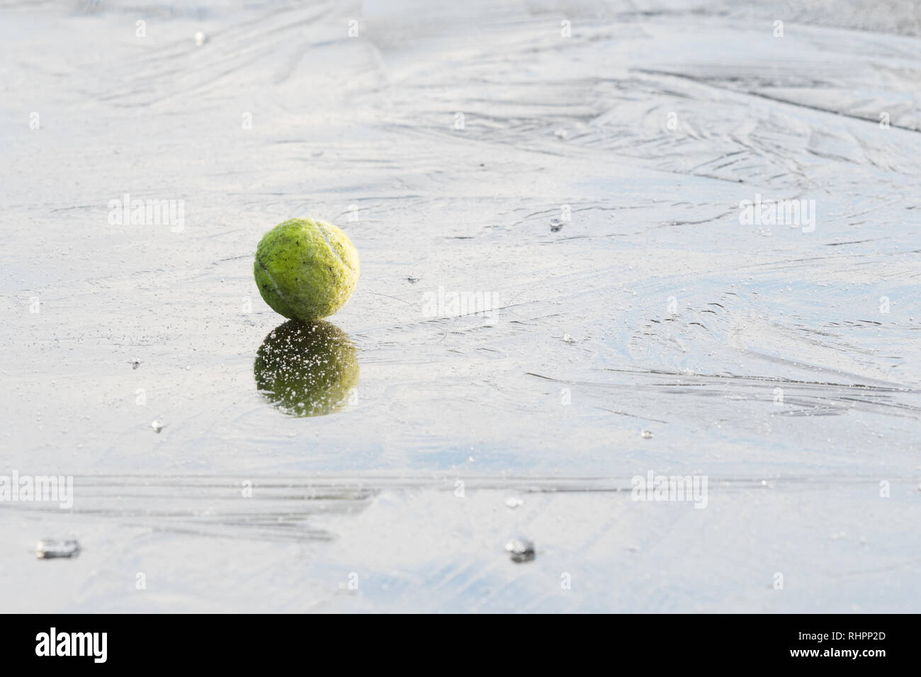 Ballon sur glace - Dog's balle de tennis sur l'étang gelé - pour illustrer les dangers de chiens qui courent sur l'eau gelée Banque D'Images