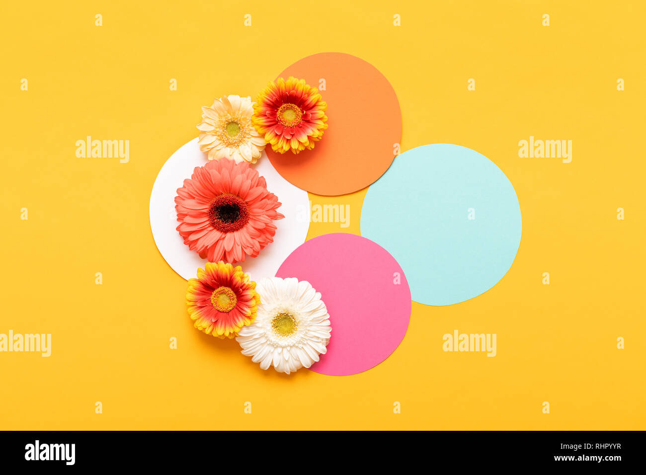 Happy Mother S Day Journee De La Femme La Saint Valentin Ou D Anniversaire D Arriere Plan De Couleur Pastel Mise A Plat Des Maquettes Avec De Belles Cartes De Vœux Gerbera Photo Stock Alamy