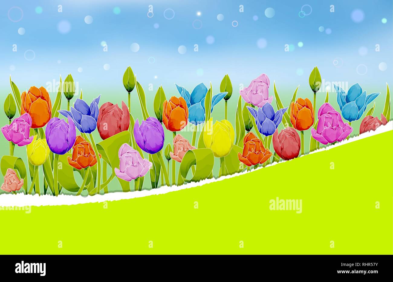 Tulipes multicolores sur un fond de prairie brouillée. Papier déchiré stylisé pour votre texte. Vector illustration with copy space Illustration de Vecteur