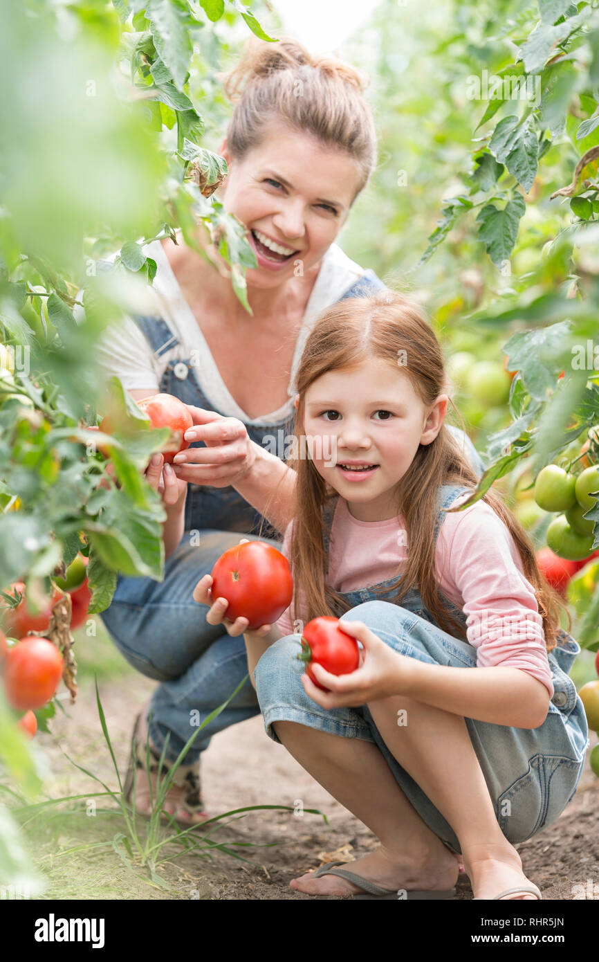 Portrait of smiling mother and daughter la récolte des tomates biologiques à la ferme Banque D'Images