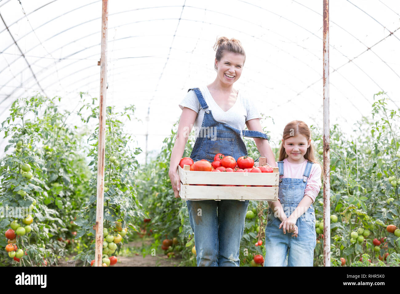 Smiling mother and daughter avec caisse de tomates de serre au Banque D'Images