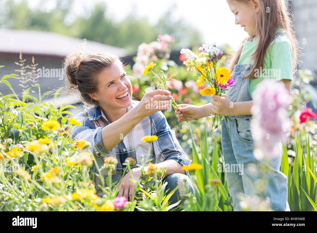 Smiling mother donnant des fleurs en fille tout en faisant du jardinage à la ferme Banque D'Images