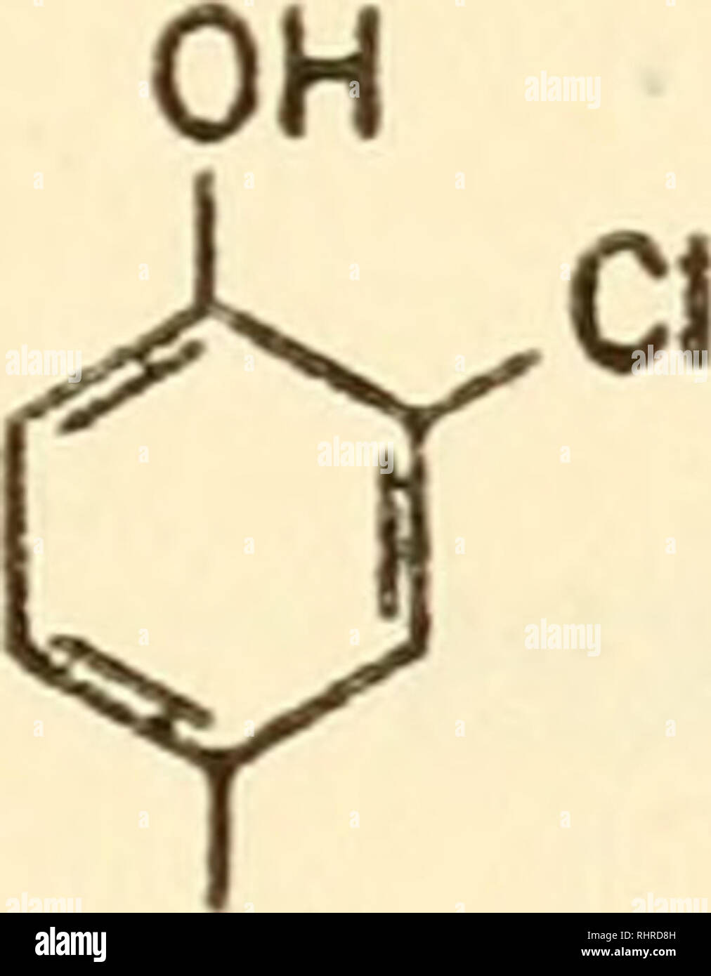 . Bioénergétique. Bioénergétique. Le tableau 53 montre que la plupart des substances à être inactif, mais montre également certains d'entre eux à être très actifs et à provoquer un changement dans la concentration et l'IA 0,001 toujours actifs dans la région de 0,0001 M. parmi les plus actifs nous trouver dinitrophénol et dinitronaphthol, qui tous deux désaccoupler la phosphorylation oxydative. Que les deux actions pourraient en fait avoir un par rapport à l'autre est sug- gested par l'activité d'dicumaroi (33) et le pentachlorophénol (27), qui tous deux sont également connus pour désaccoupler. En raison de son O-CH2-COOH ,C1. a (a) 0&gt ;) Fig. 10, un 2,4-Dichlorophénol : Banque D'Images