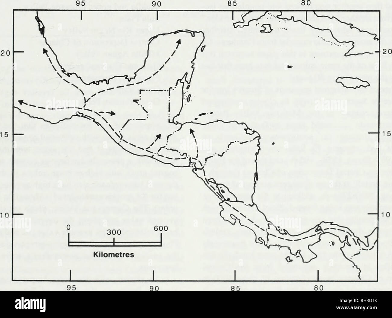 . La biogéographie de l'herpétofaune des forêts sub-humides de l'Amérique Moyenne : (isthme de Tehuantepec au nord-ouest de Costa Rica). L'herpétologie ; Reptiles, combustibles. que dispersé dans la péninsule du Yucatan et de l'émergente a évolué en association avec les forêts sub-humides au milieu à la fin du Pléistocène, ou, dans quelques cas, dans des poches humides (p. ex., cenotes) au sein de la forêt. Lang (1989), après avoir examiné l'histoire géologique de la Méso-Amérique, aussi postulé une origine à base du Yucatan pour les deux espèces Laemanctus. Par la suite, les stocks de L. ser- ratus ont été en mesure de se disperser de l'EEA Banque D'Images