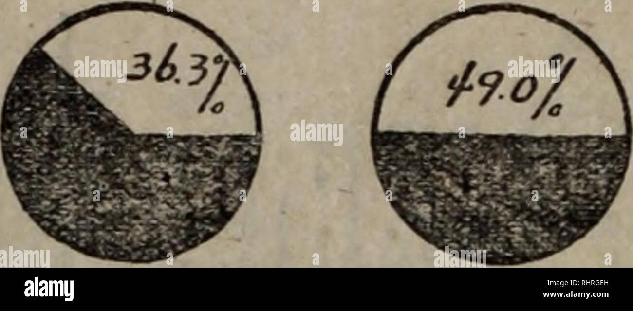 . Bi ma peut Wen Ji. botanique. . Veuillez noter que ces images sont extraites de la page numérisée des images qui peuvent avoir été retouchées numériquement pour plus de lisibilité - coloration et l'aspect de ces illustrations ne peut pas parfaitement ressembler à l'œuvre originale.. zhong guo ke xue yuan shi yan sheng wu yan jiu suo bian. ke xue chu ban elle Banque D'Images