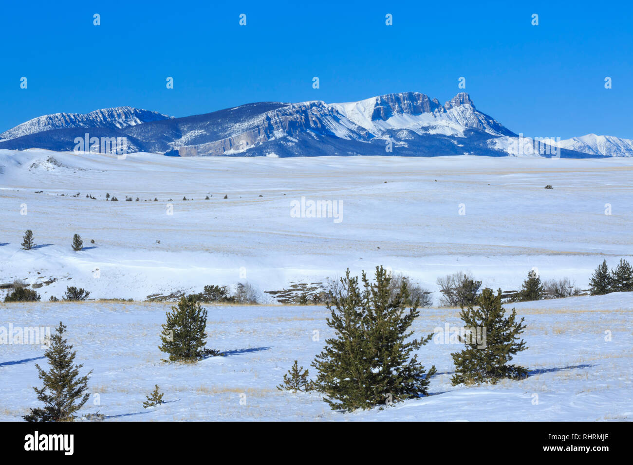 Ridge sawtooth en hiver le long de la rocky mountain/près de augusta, Montana Banque D'Images