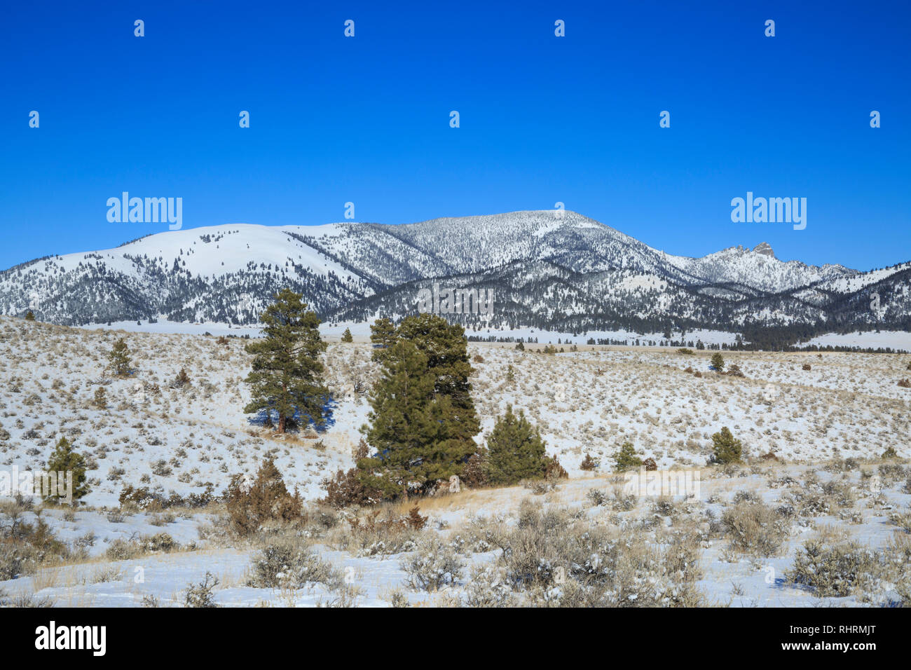 Sleeping Giant montagne en hiver près de Helena, Montana Banque D'Images