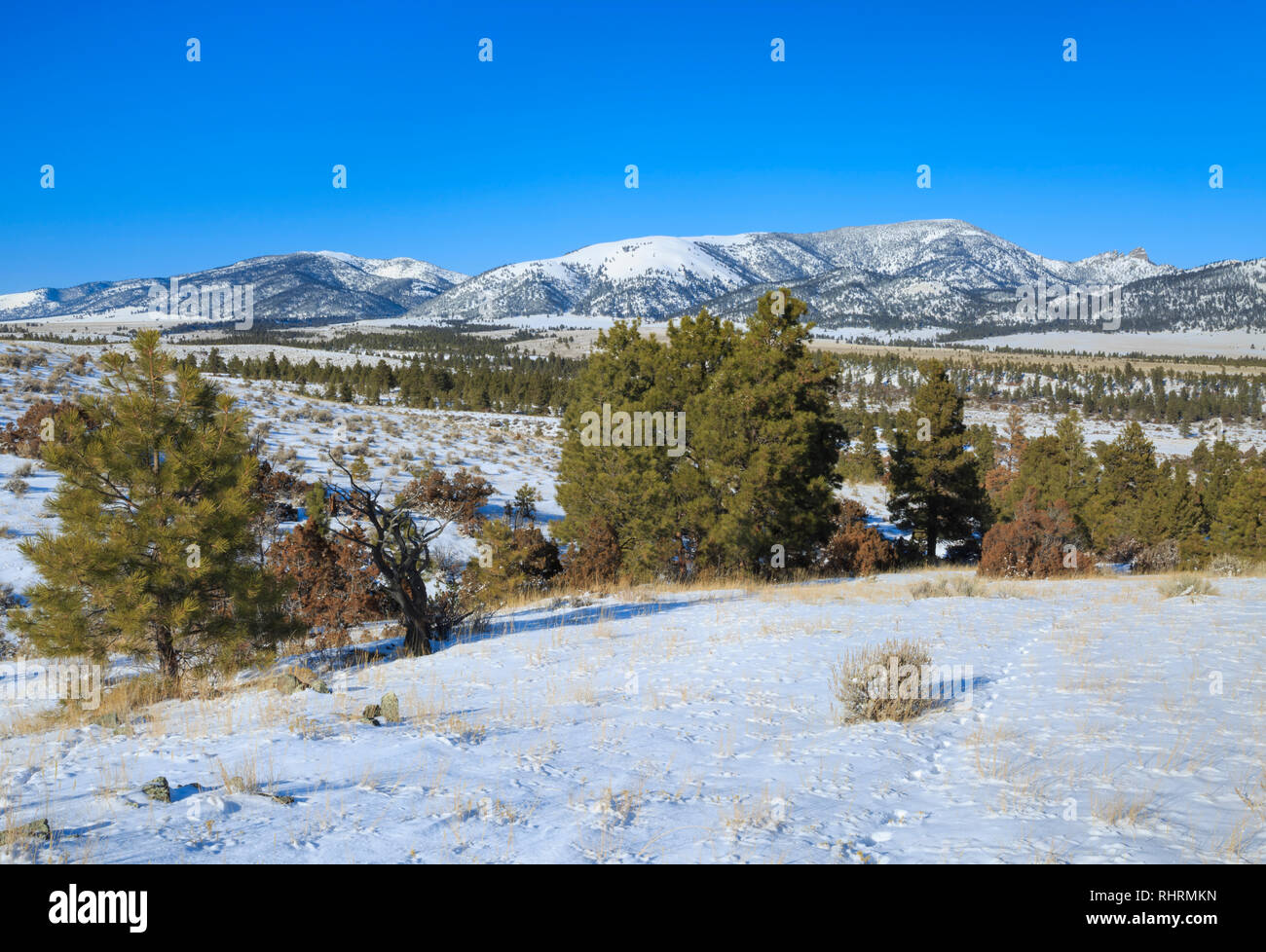 Sleeping Giant montagne en hiver près de Helena, Montana Banque D'Images