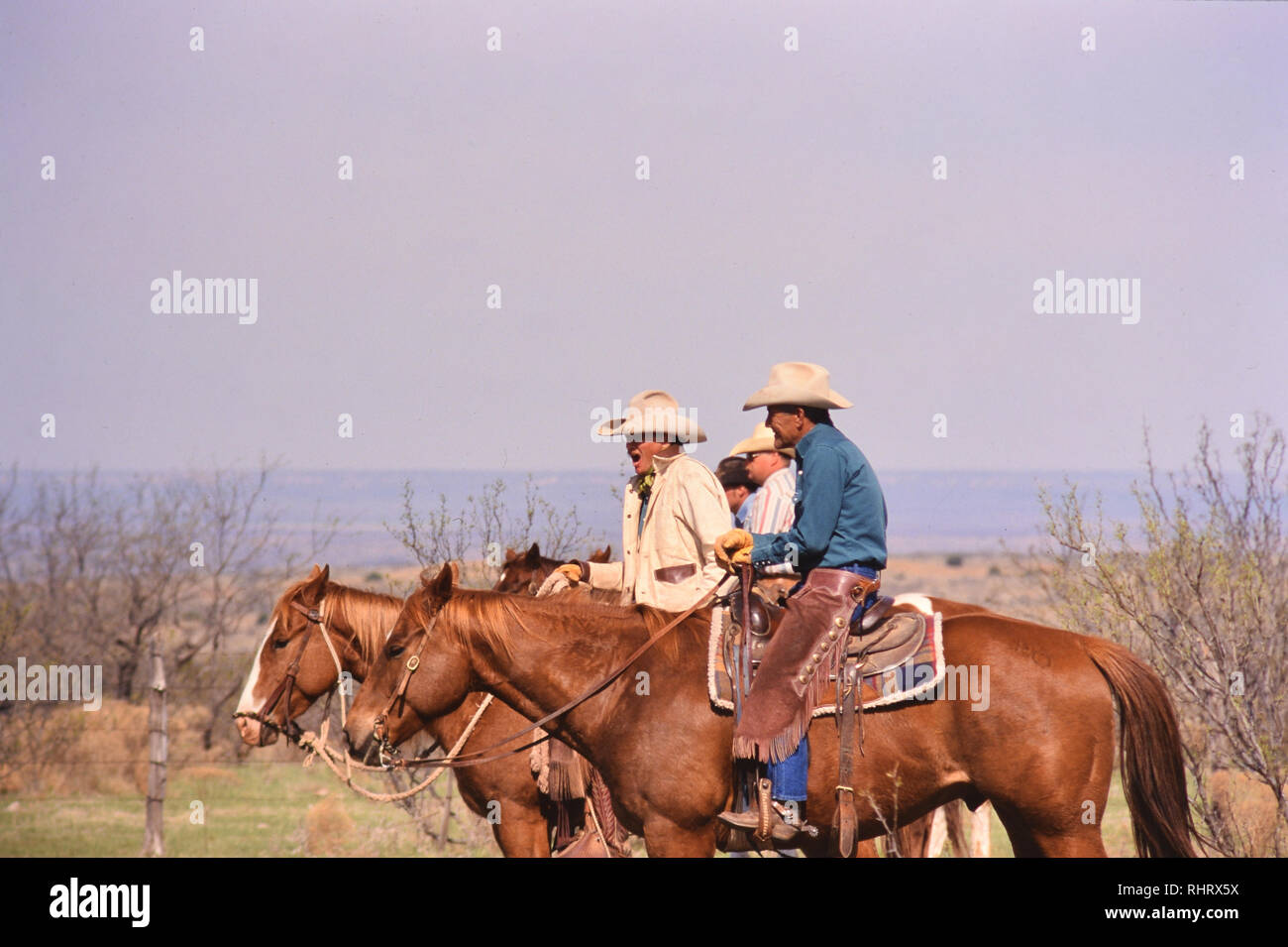 Au cours d'un troupeau holding Cowboys roundup printemps sur un ranch au Texas en 1998. Banque D'Images