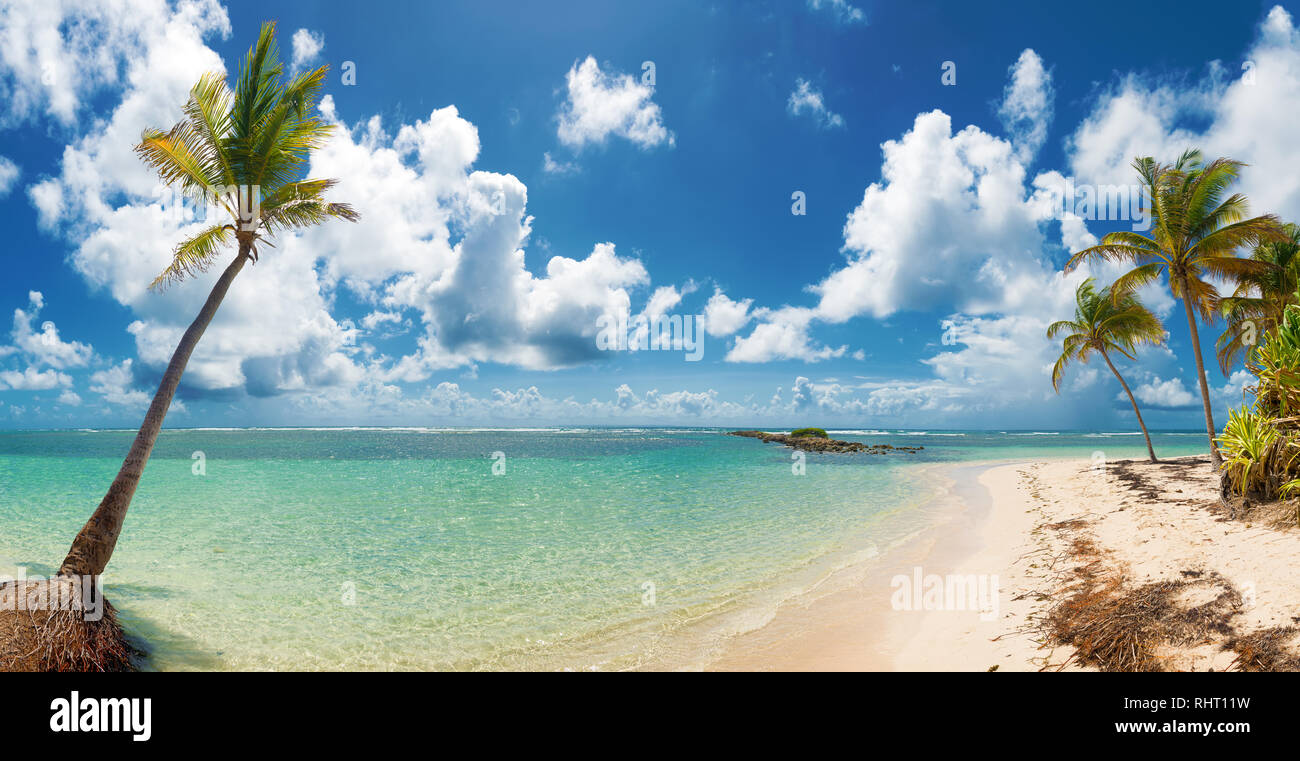 Ciel bleu,coco arbres, l'eau turquoise et le sable doré de la plage, vue panoramique sur Caravelle beach, Sainte Anne, Guadeloupe, French West Indies. Banque D'Images